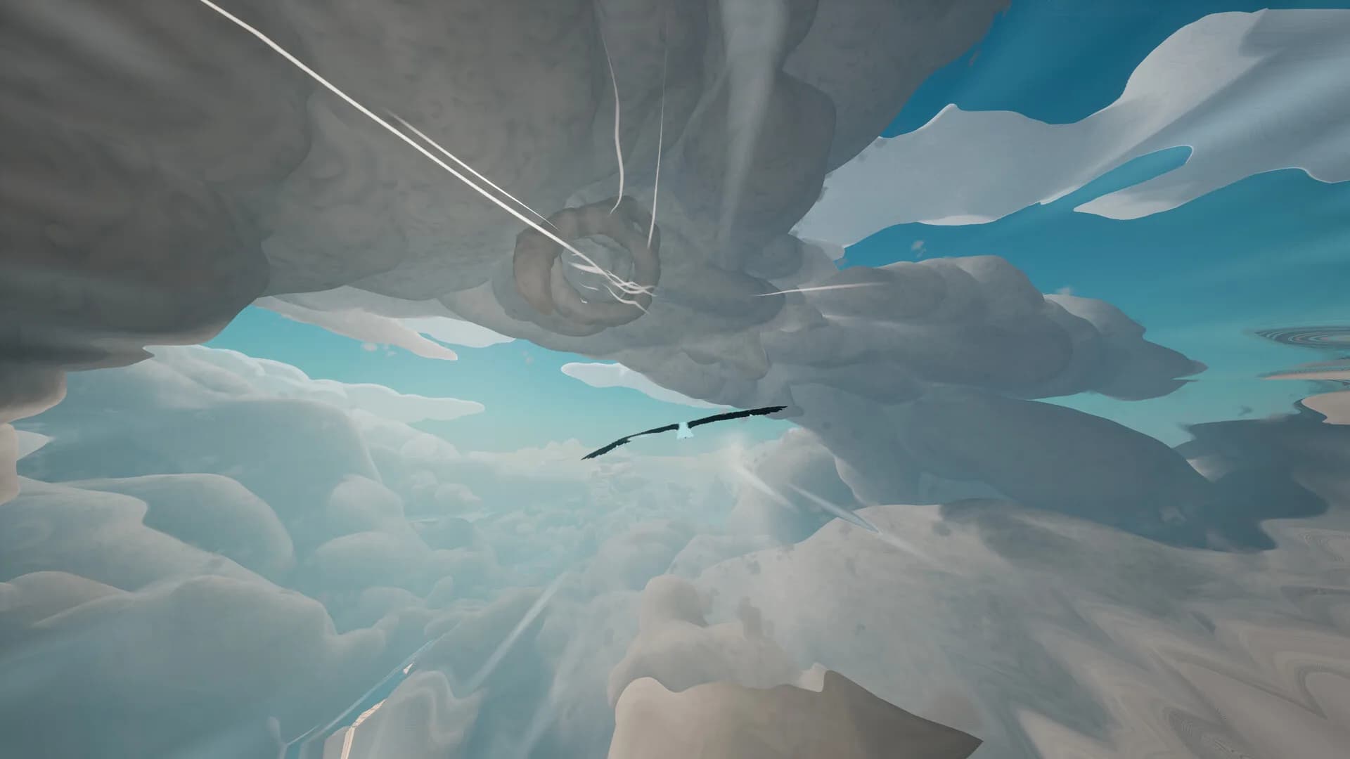 Toroa: Skycall görsel 2