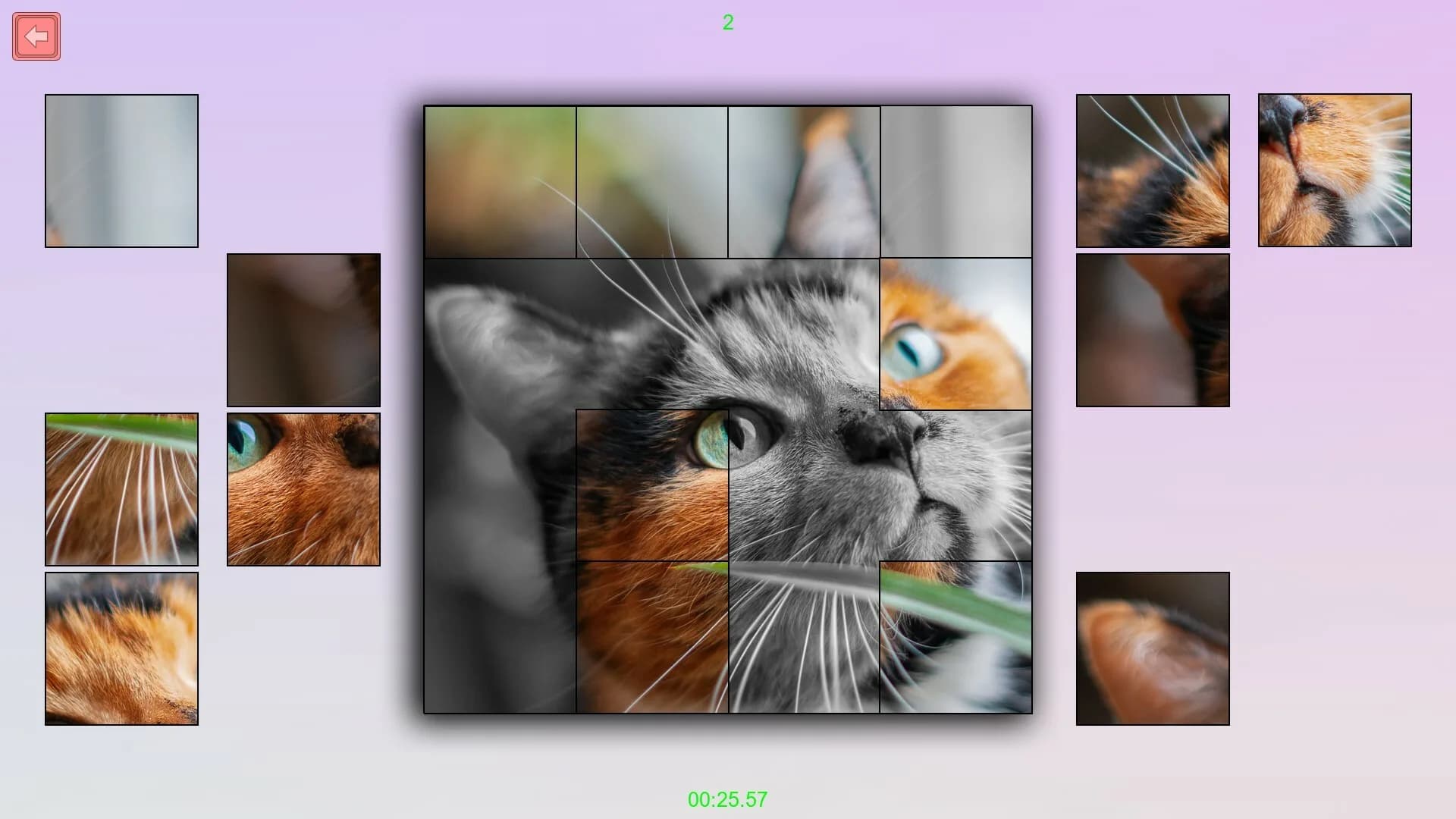 TitTok Kitty görsel 2