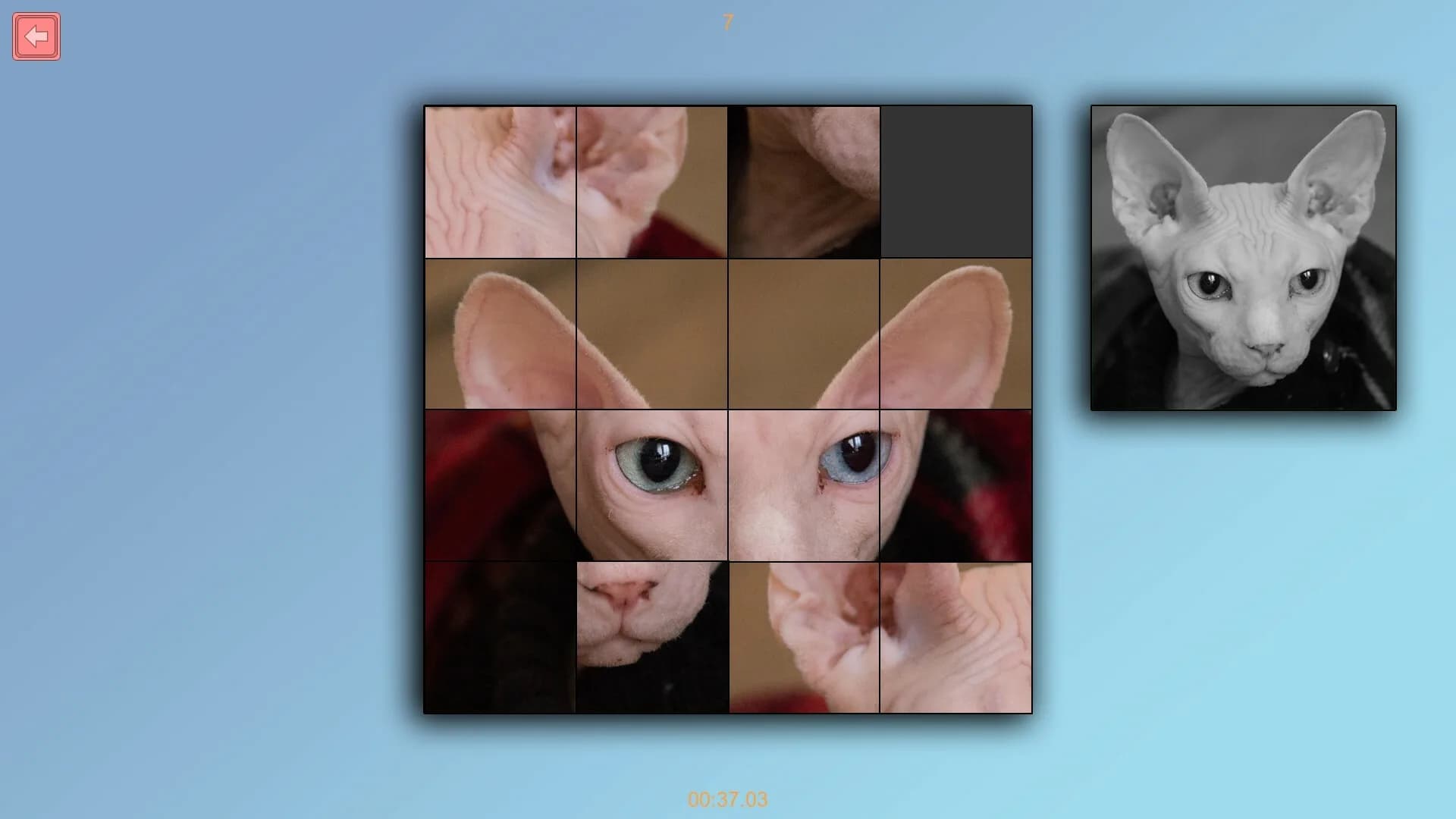 TitTok Kitty görsel 5