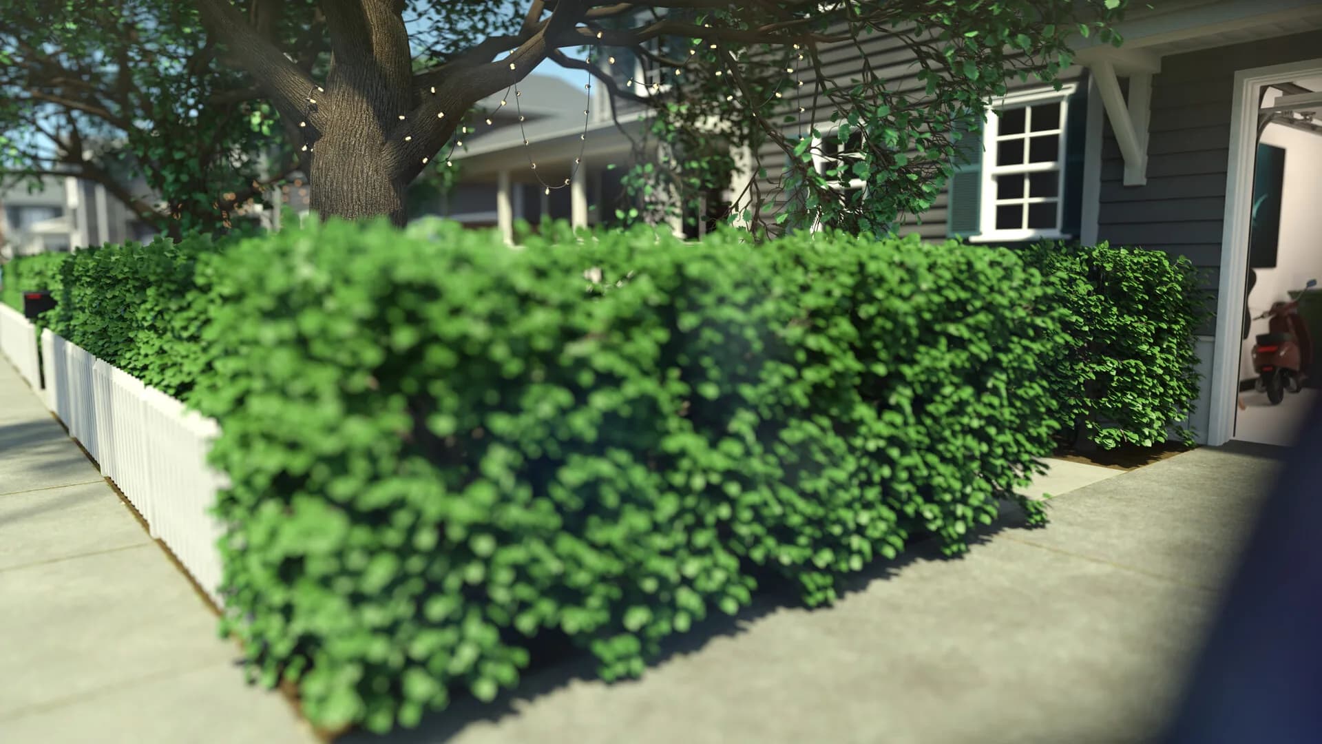 Hardenville görsel 15