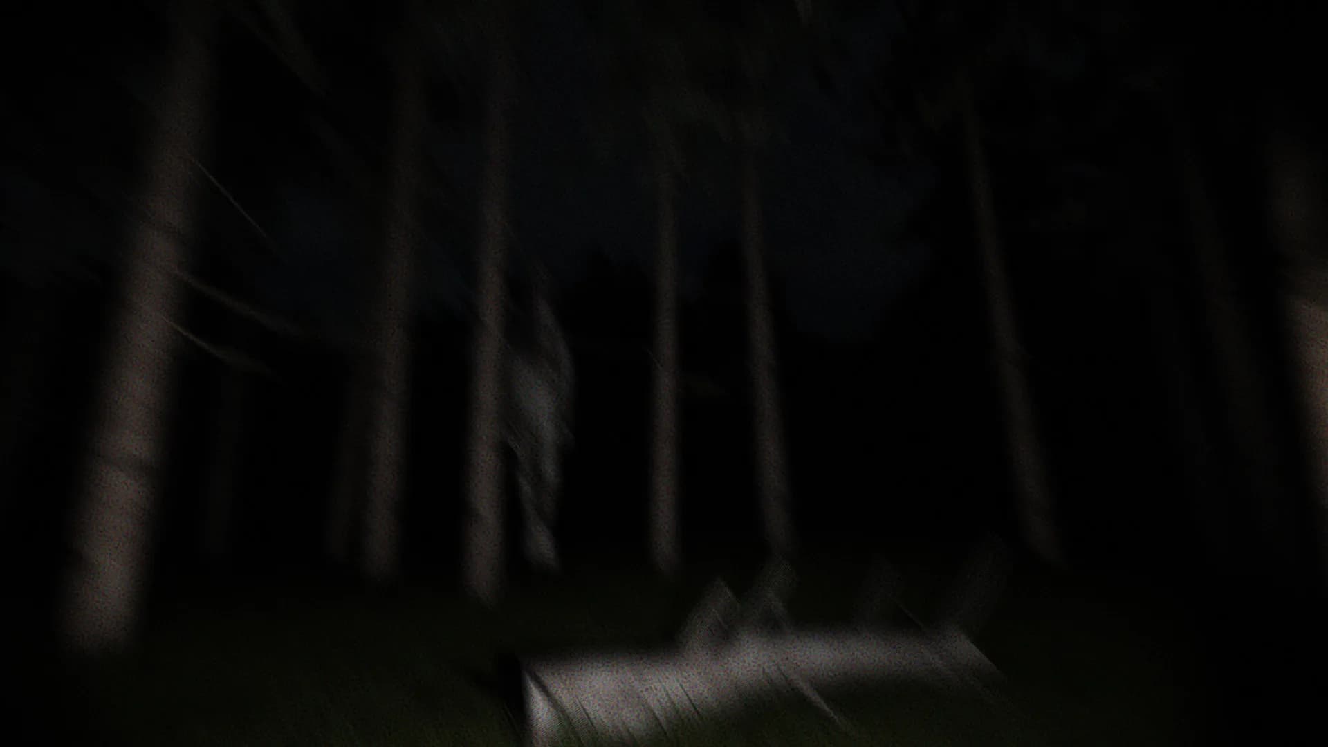 PHOBOS Project görsel 4