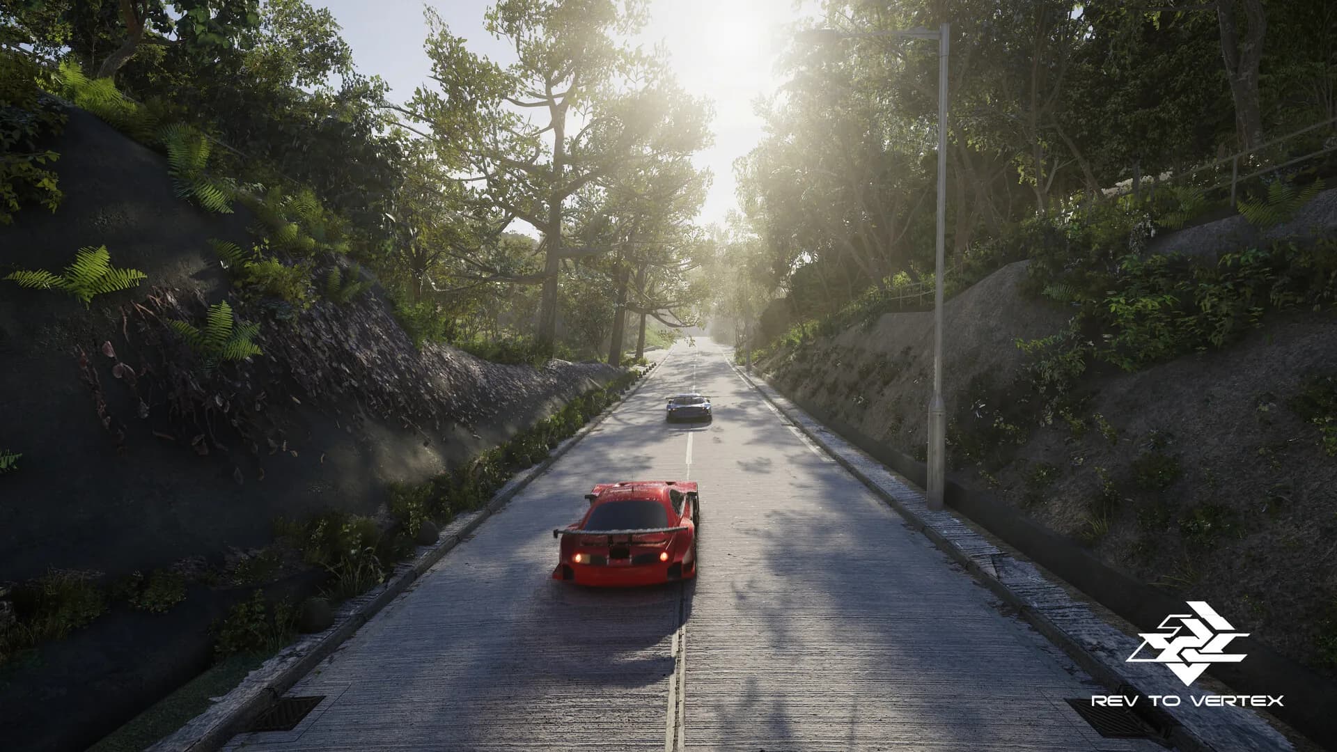 R2V Rev to Vertex görsel 7