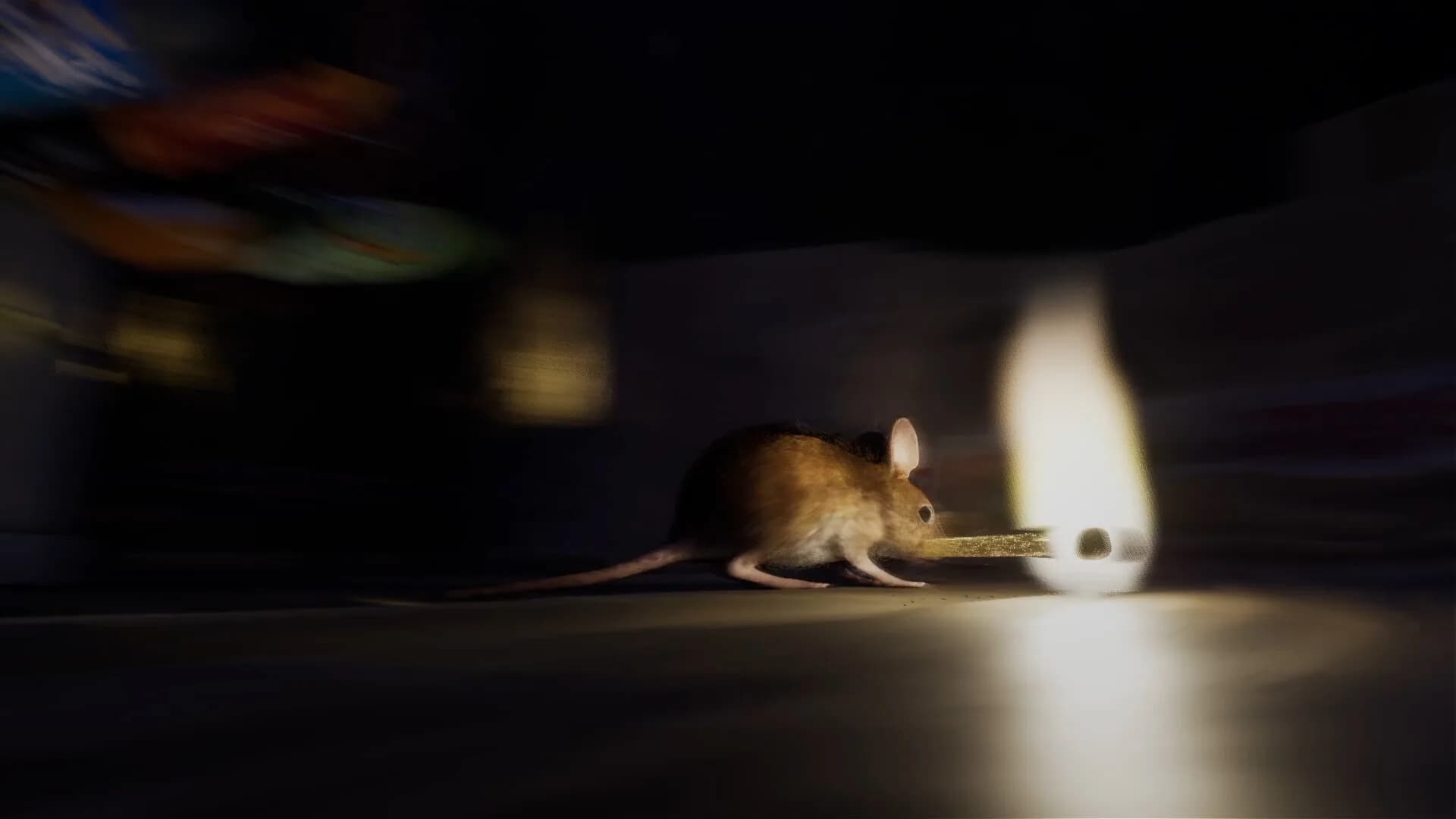About A Mouse görsel 7