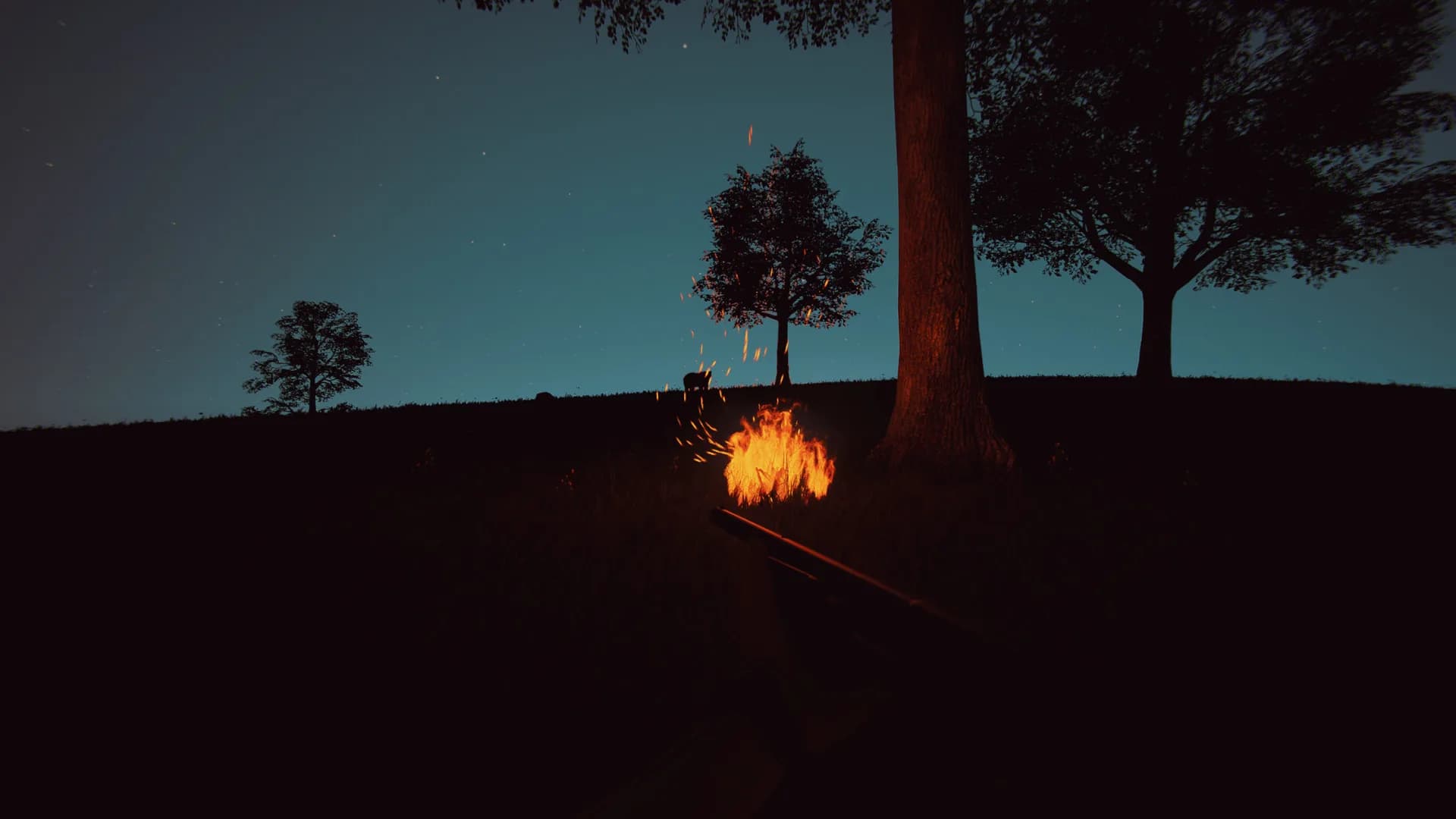 Bolu görsel 24