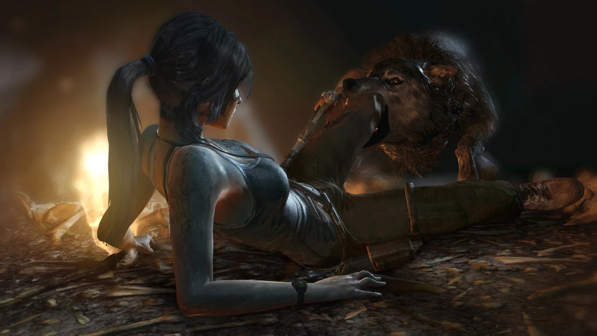 Tomb Raider Game of the Year görsel 4