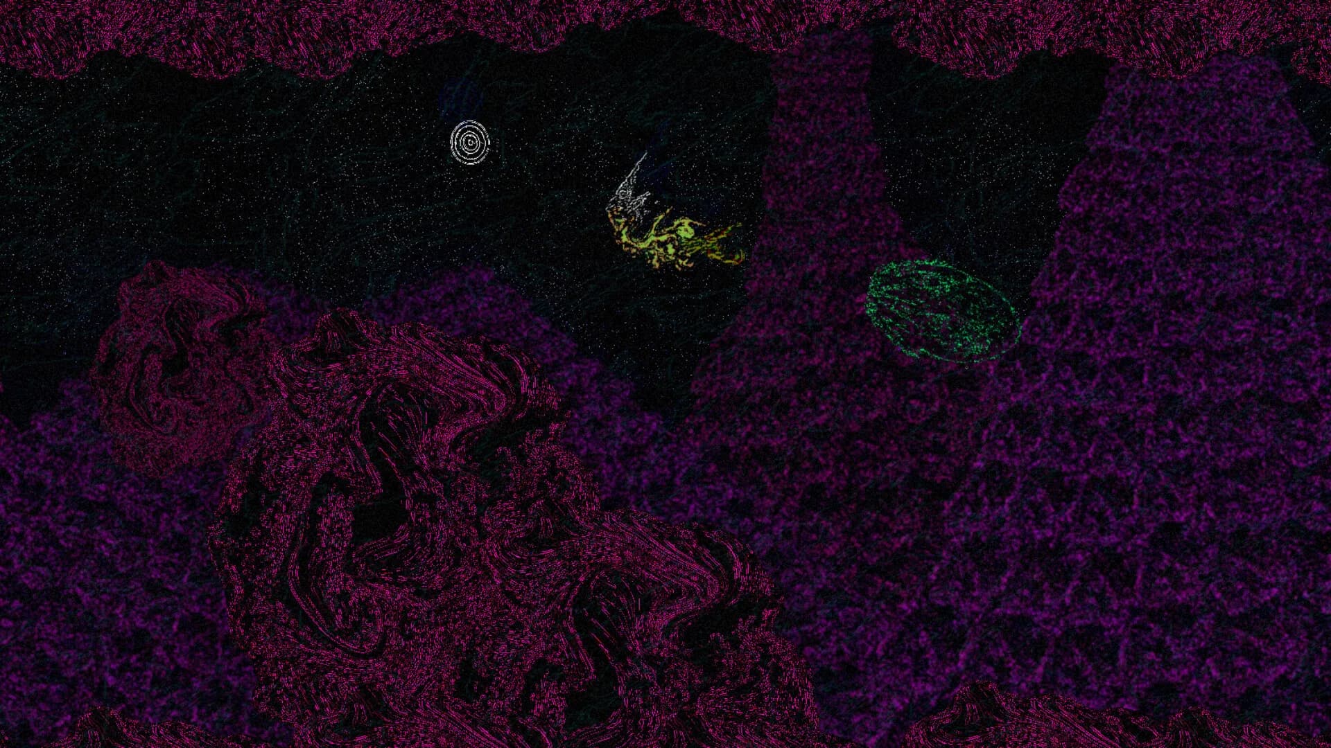 Siphonopolis görsel 3