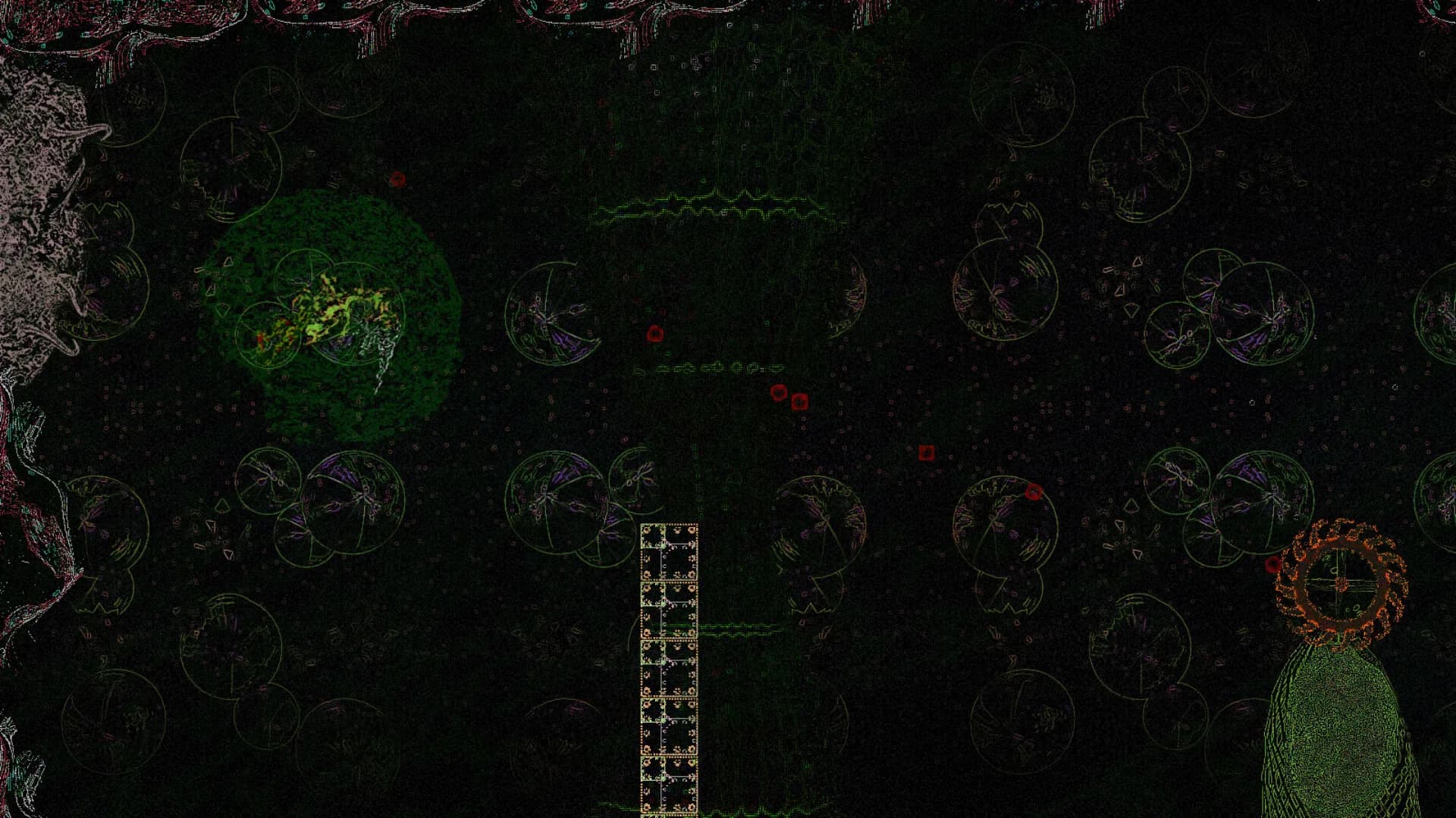 Siphonopolis görsel 9