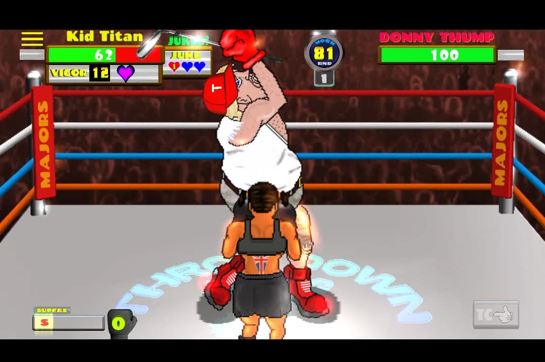 THROWDOWN BOXING 2 görsel 29