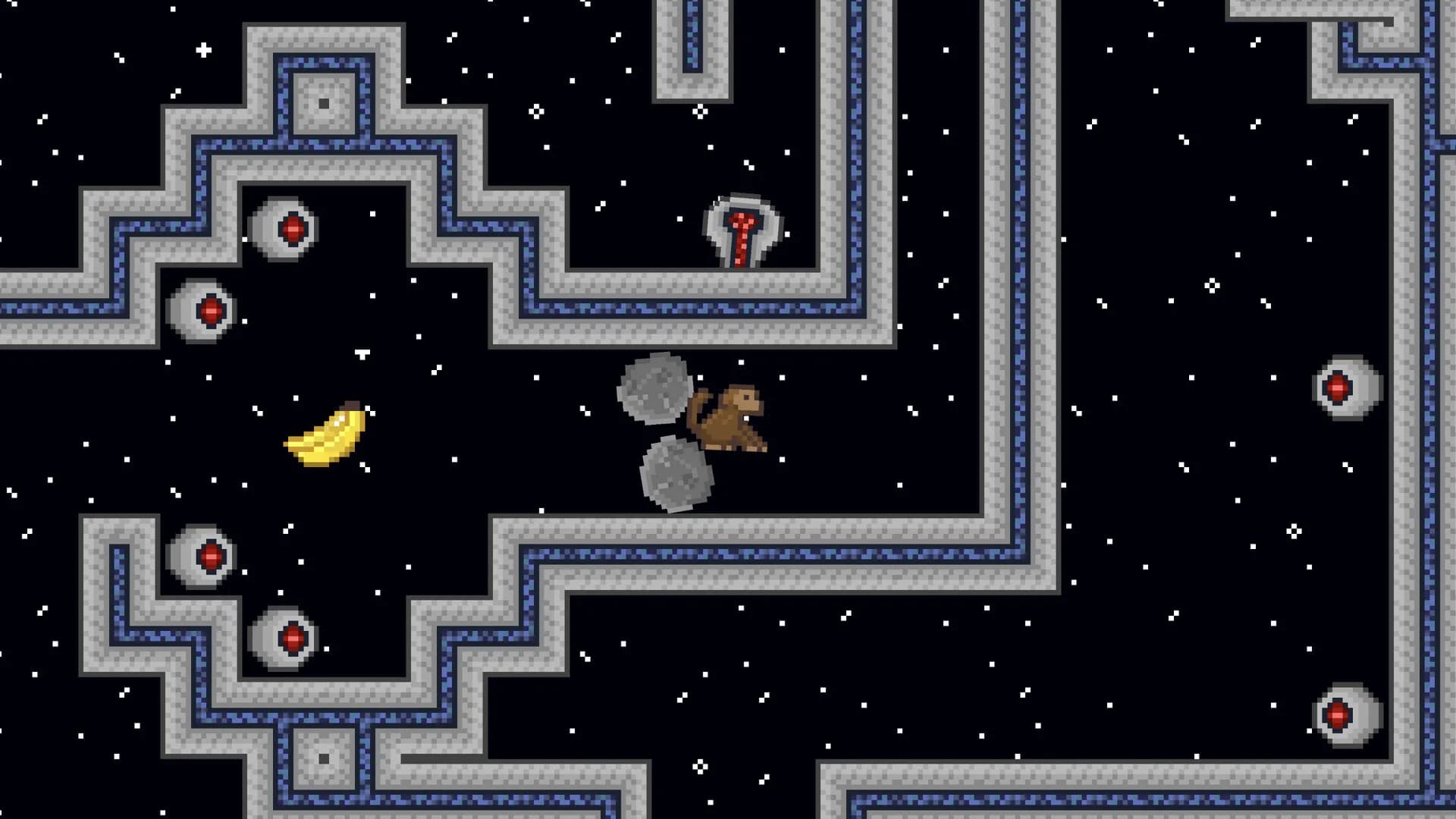 Space Monkeys görsel 3