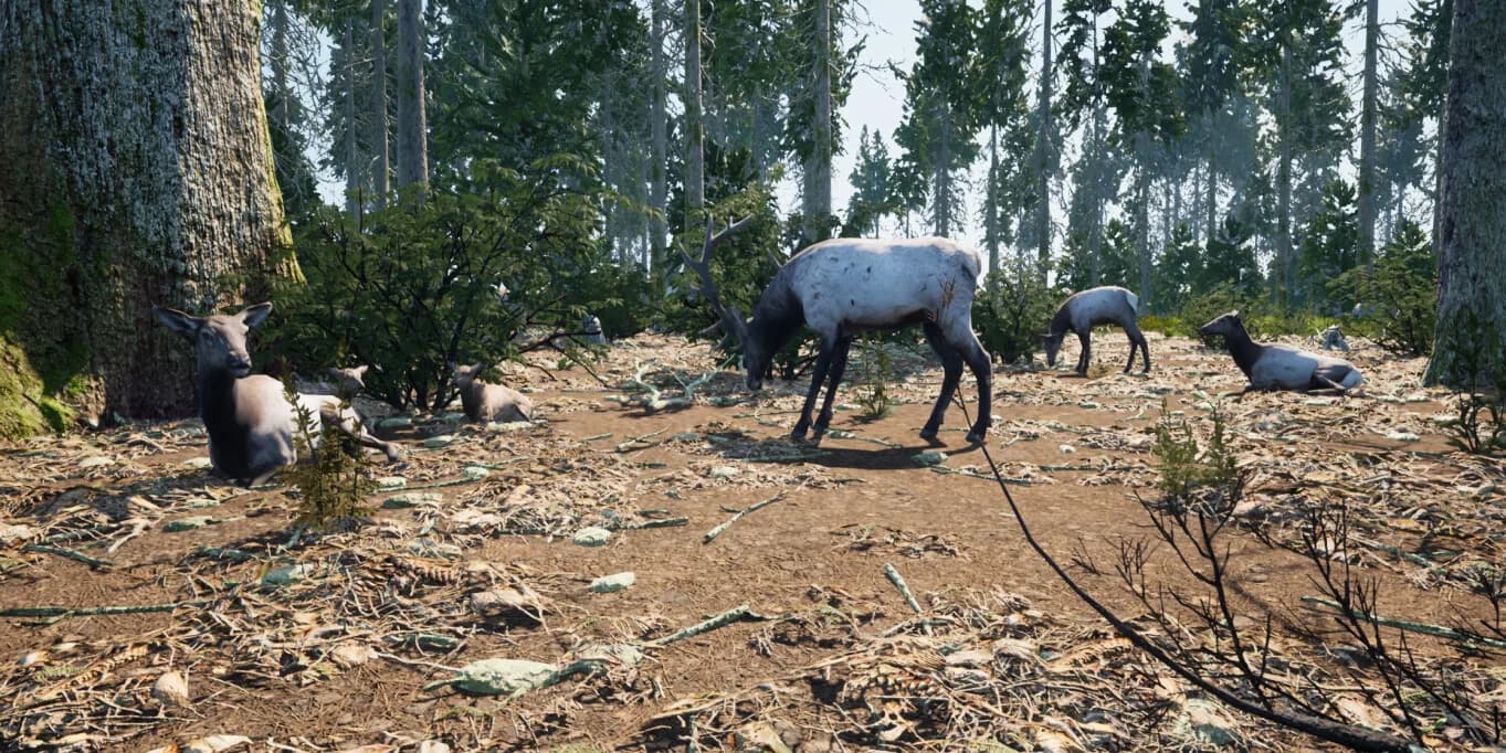 Wilderness Survival: The Conservationist görsel 14