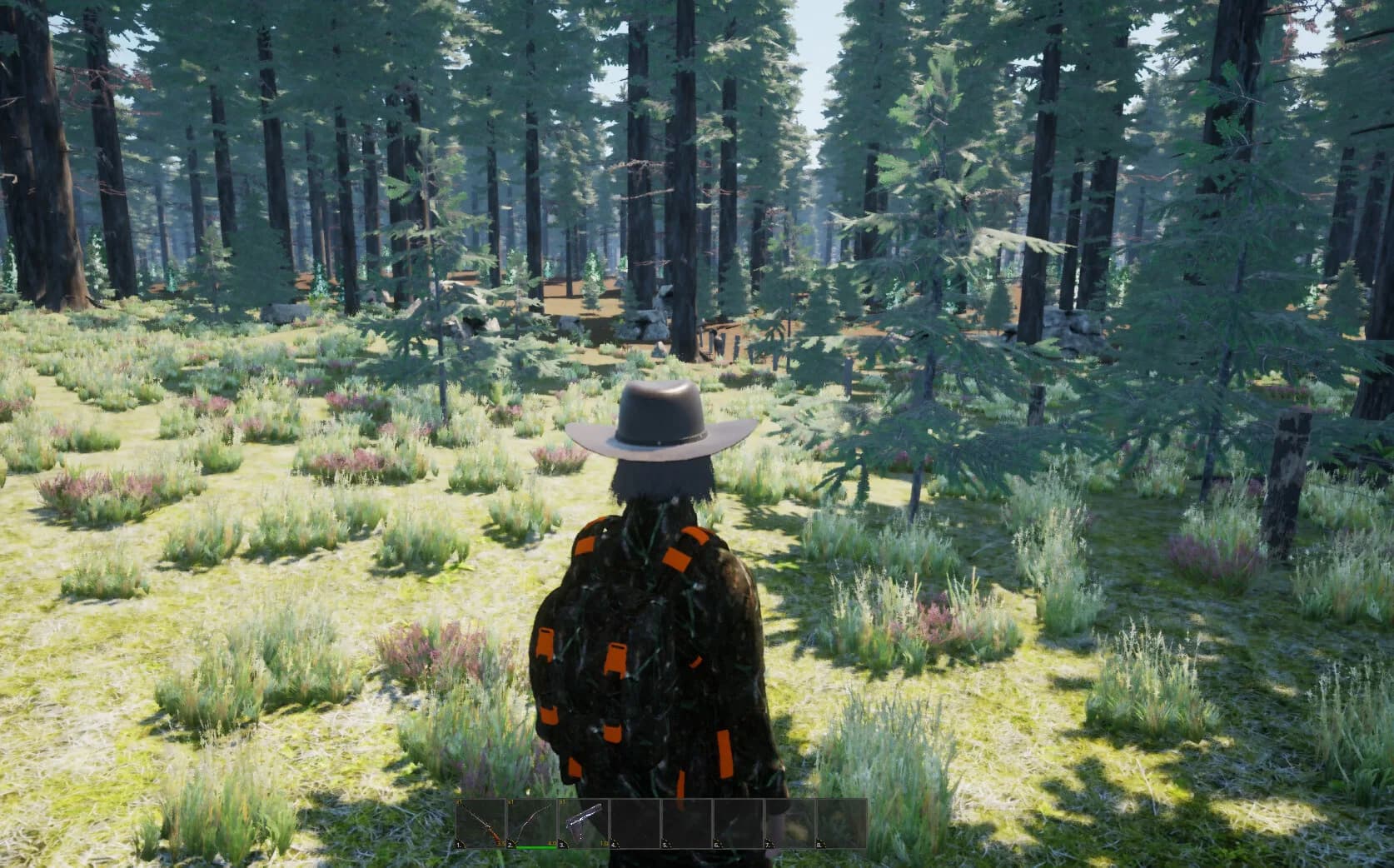 Wilderness Survival: The Conservationist görsel 15