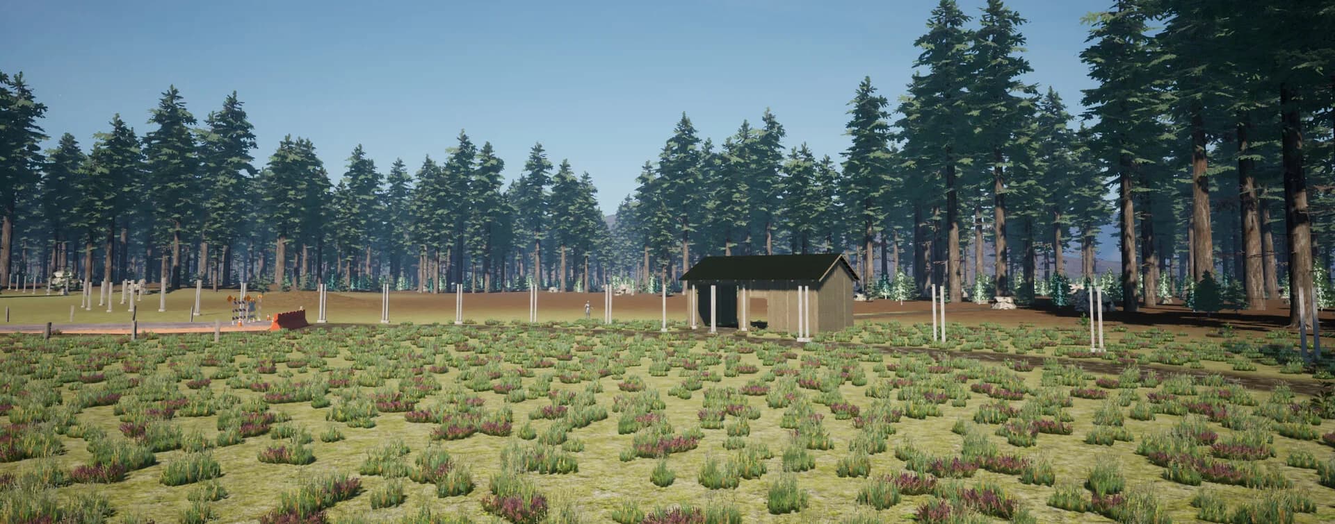 Wilderness Survival: The Conservationist görsel 16