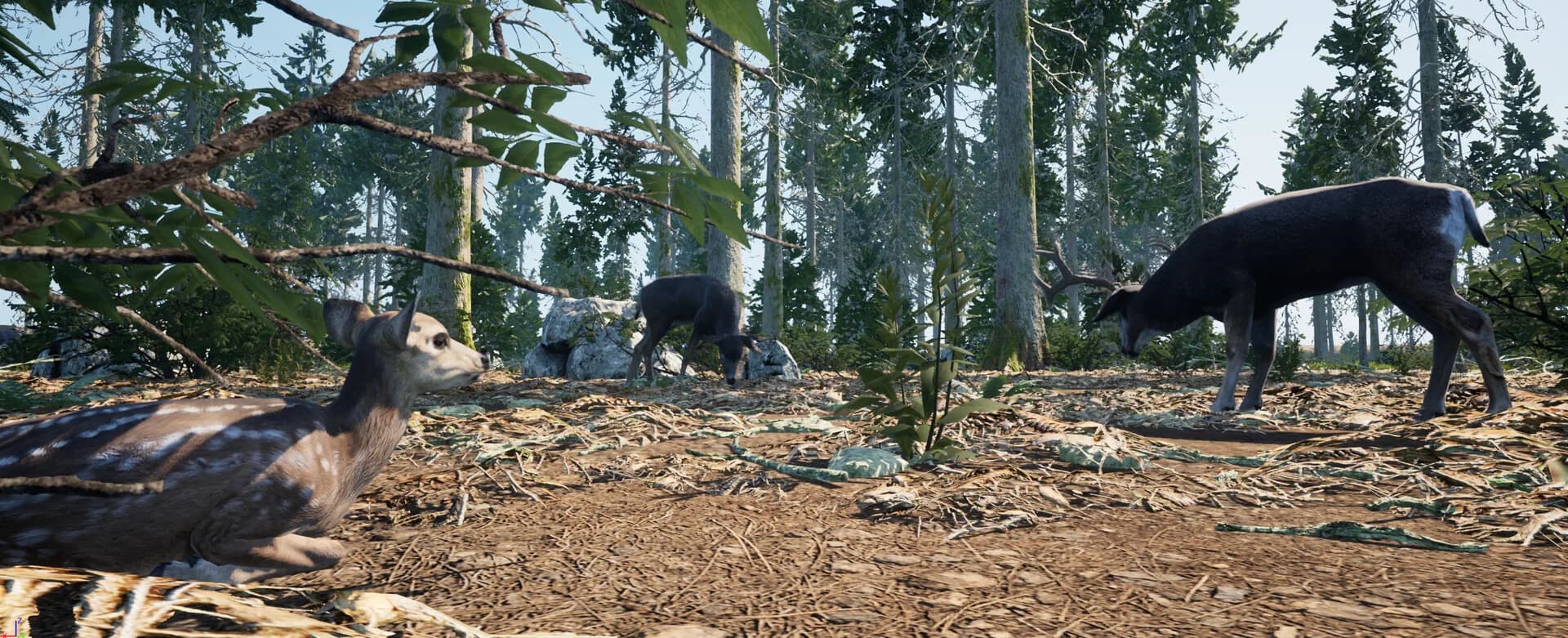 Wilderness Survival: The Conservationist görsel 17