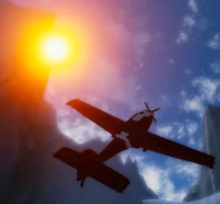 Fly Free görsel 2