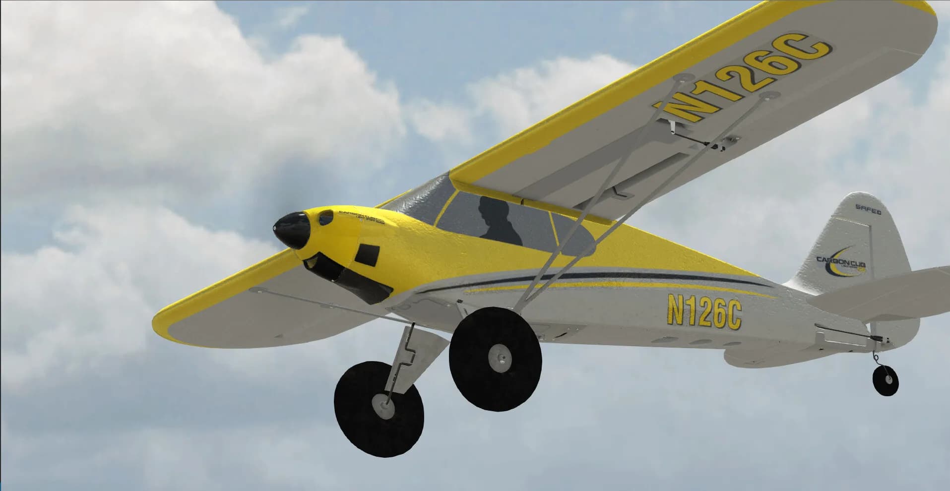 RealFlight Evolution görsel 27