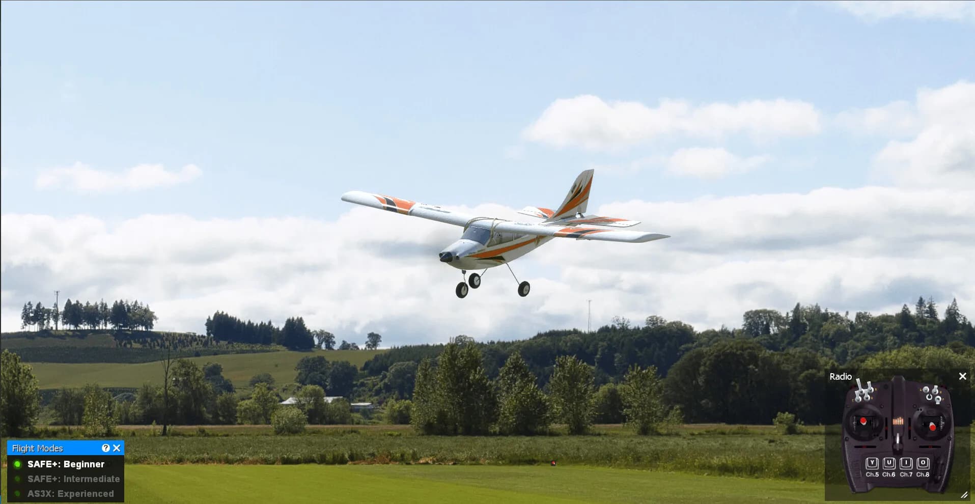 RealFlight Evolution görsel 33