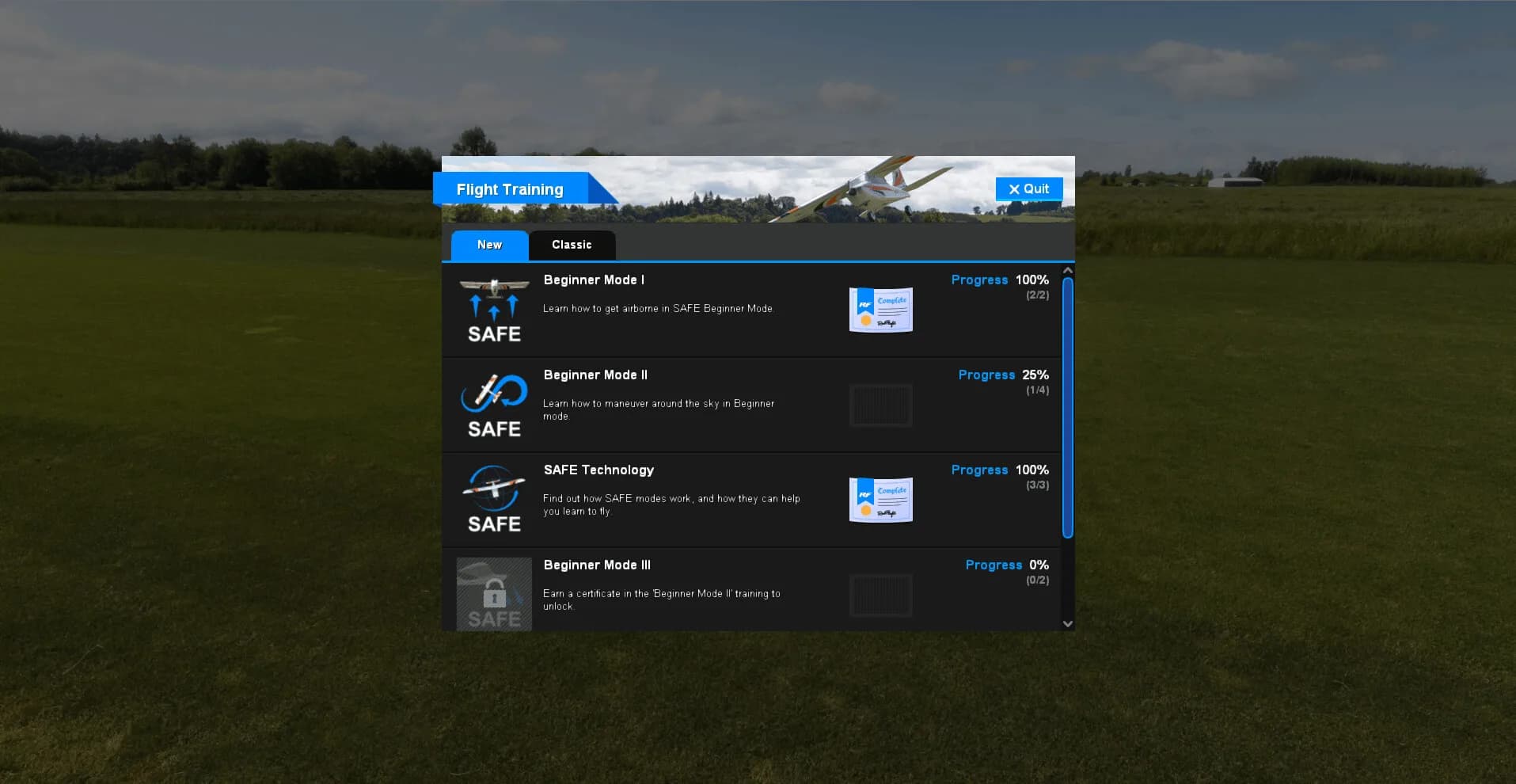 RealFlight Evolution görsel 37