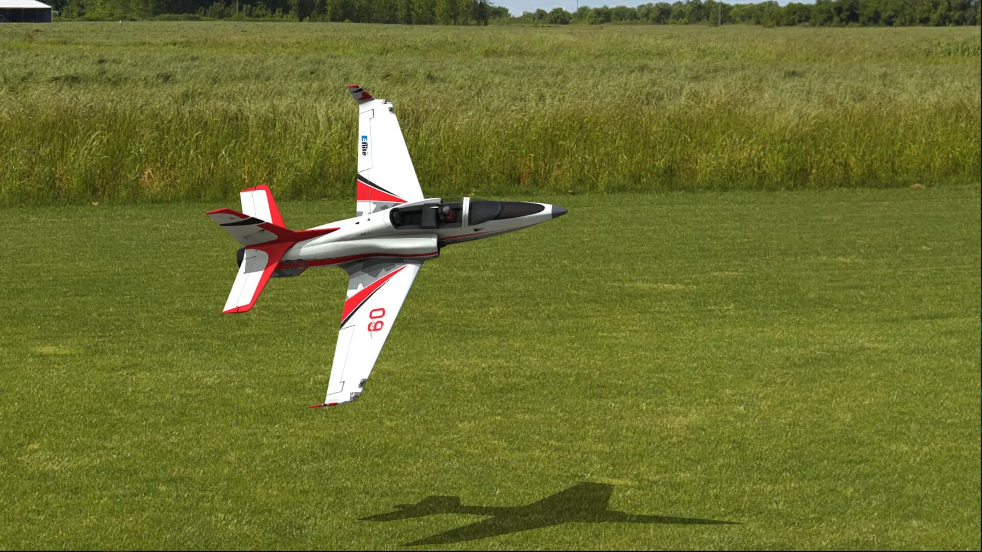 RealFlight Evolution görsel 6