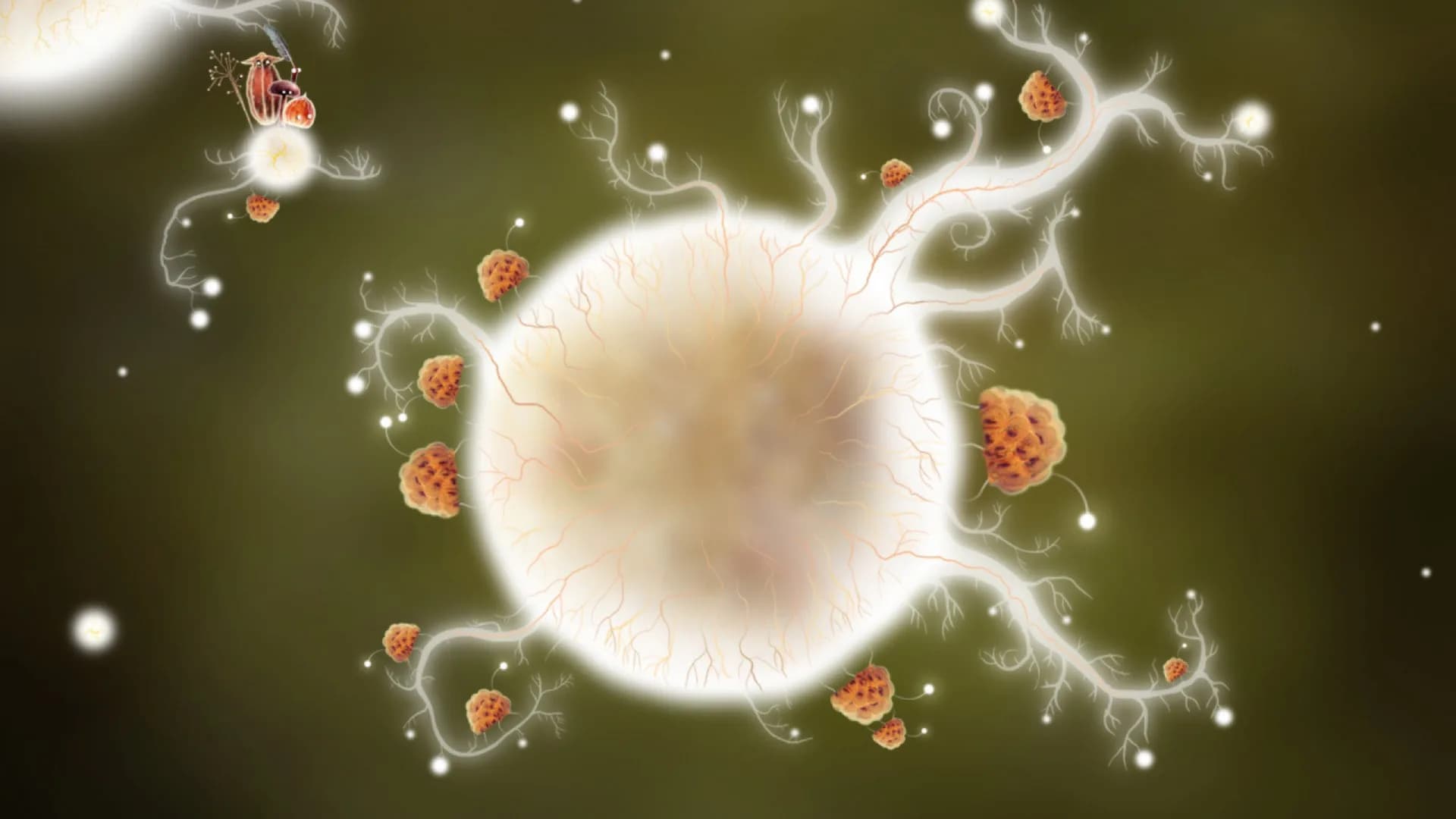 Botanicula görsel 8