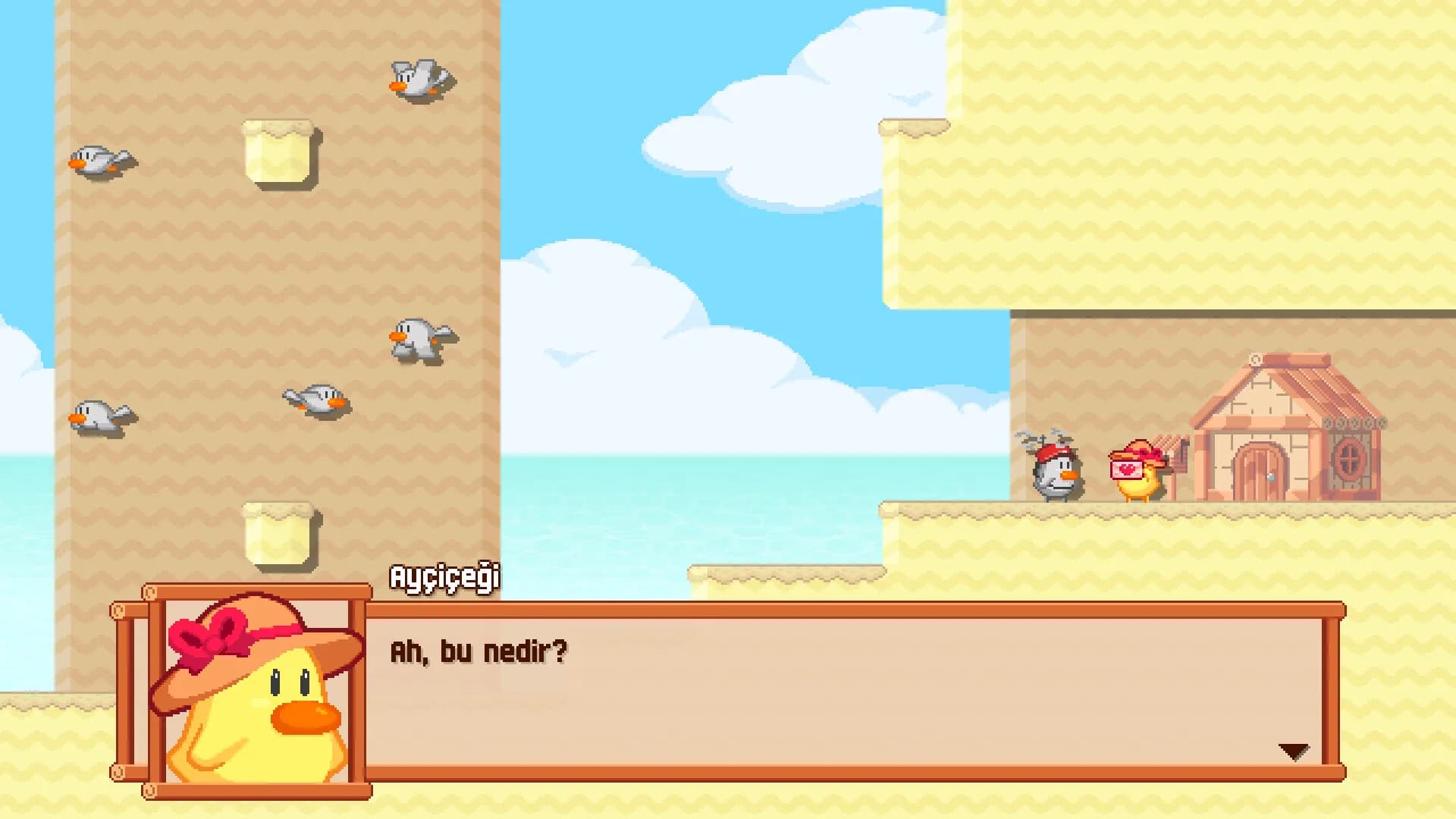 Ducky's Delivery Service görsel 3