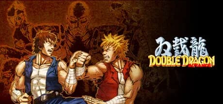 Double Dragon Advance görsel 1