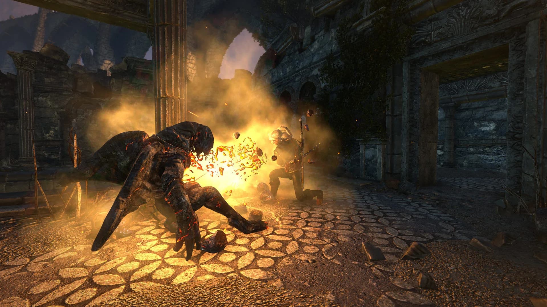 The Witcher 2: Assassins of Kings Enhanced Edition görsel 18