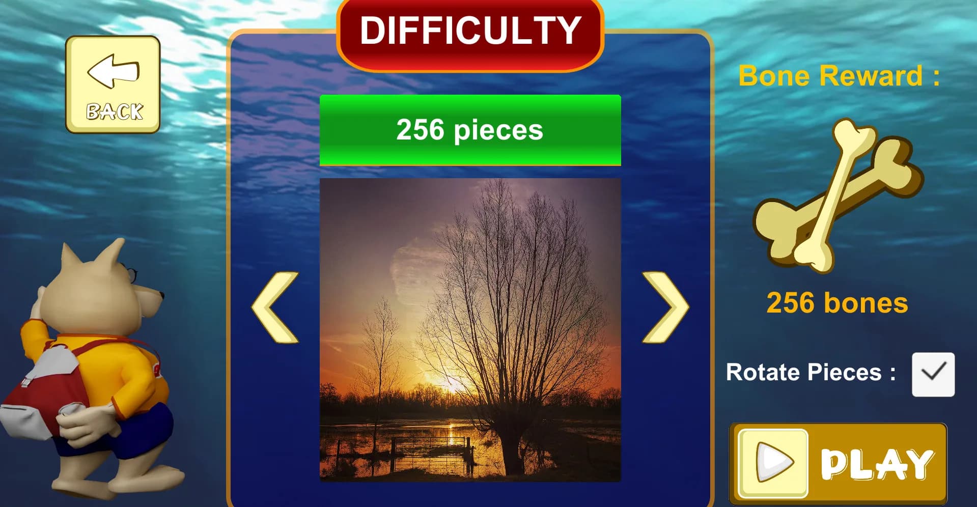 Jigsaw Puzzle: Belgium Through The Lens görsel 6