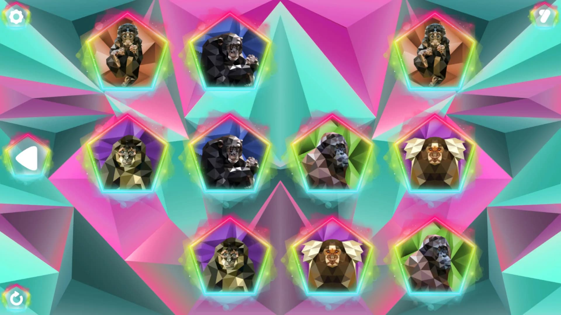 Poly Memory: Primates görsel 3