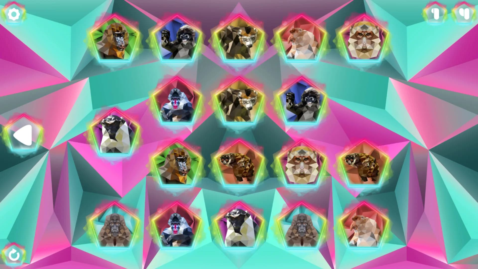 Poly Memory: Primates görsel 5