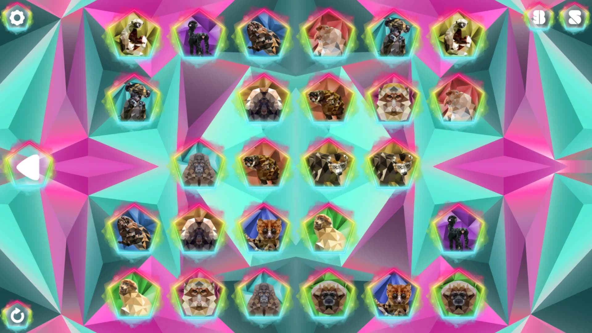 Poly Memory: Primates görsel 6