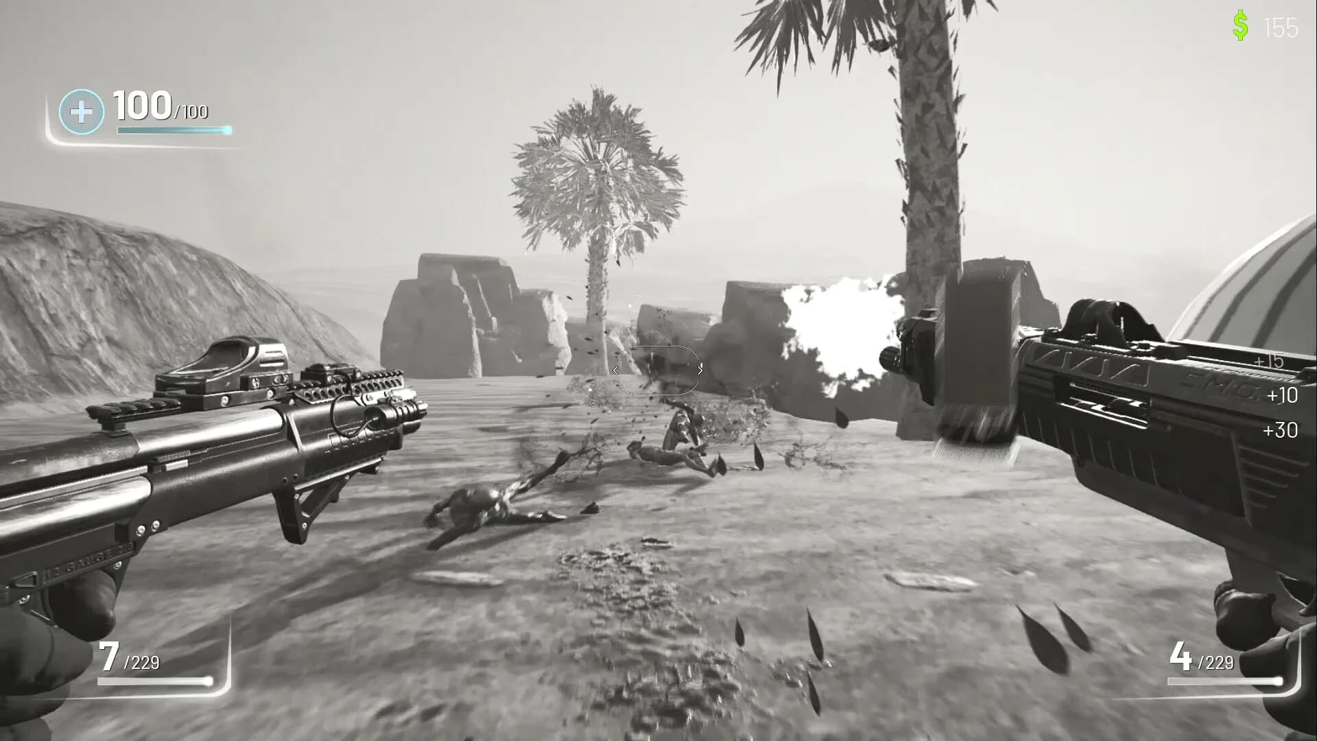Dual Gun görsel 2