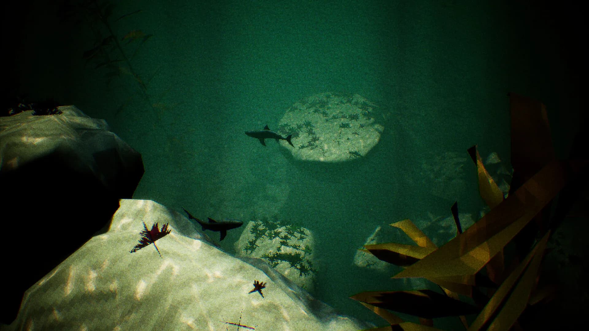 Aphotic Depths görsel 7