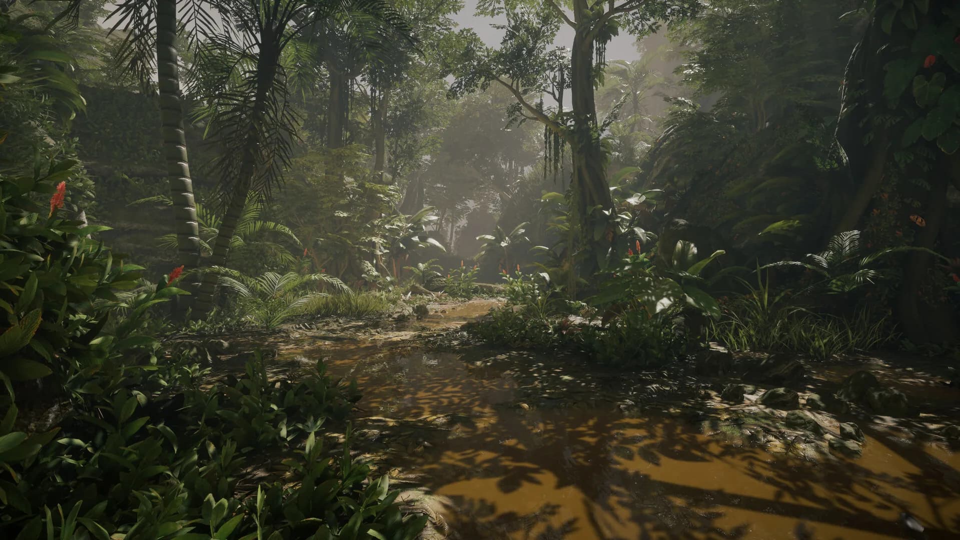 Tropica: Survival 1095 görsel 2