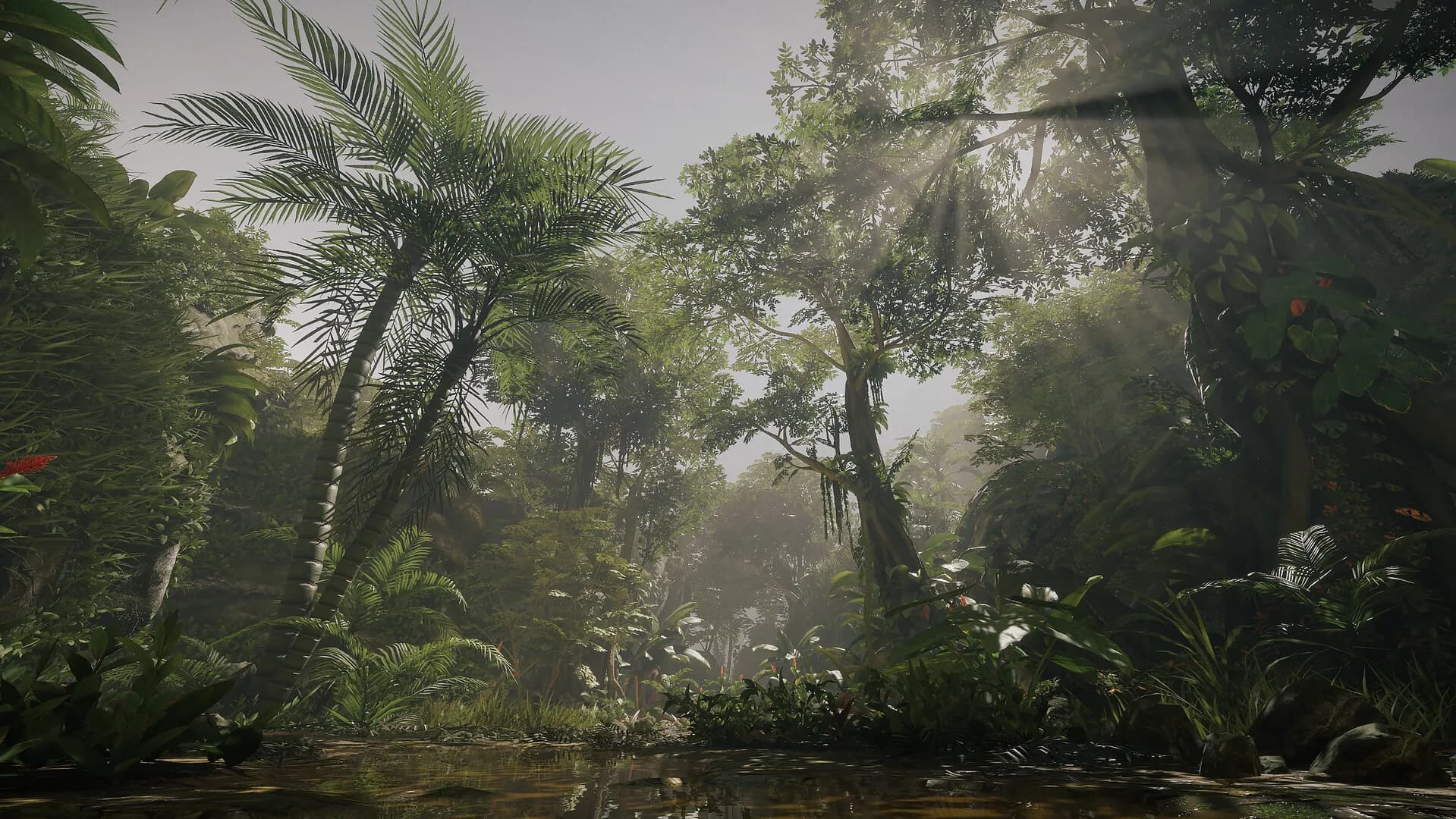 Tropica: Survival 1095 görsel 5