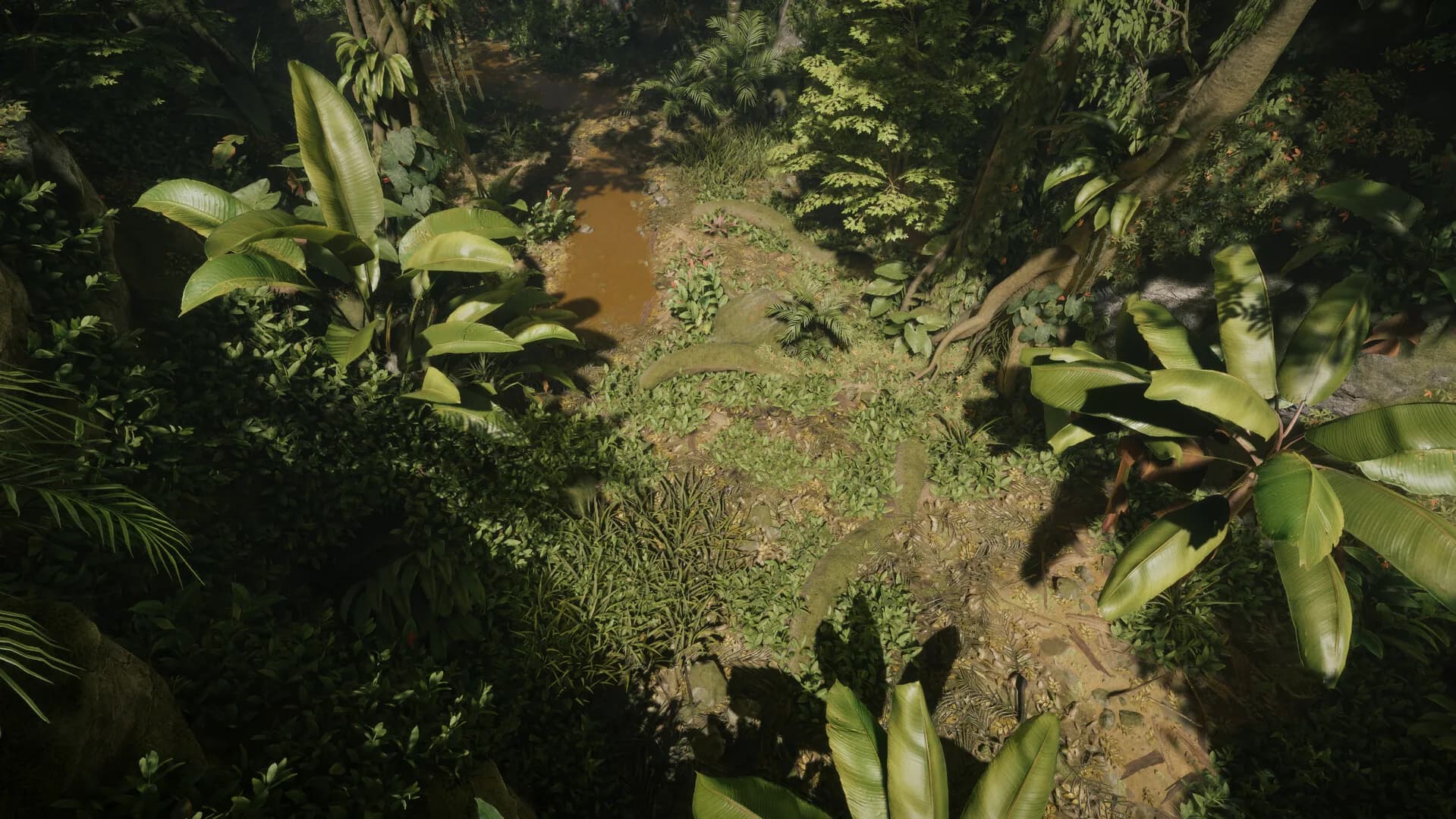Tropica: Survival 1095 görsel 8