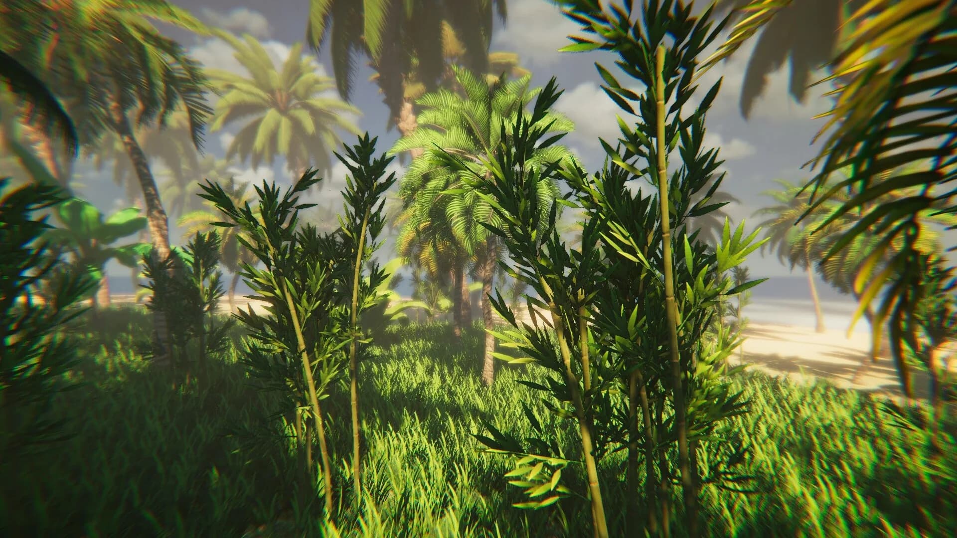Tropica: Survival 1095 görsel 10