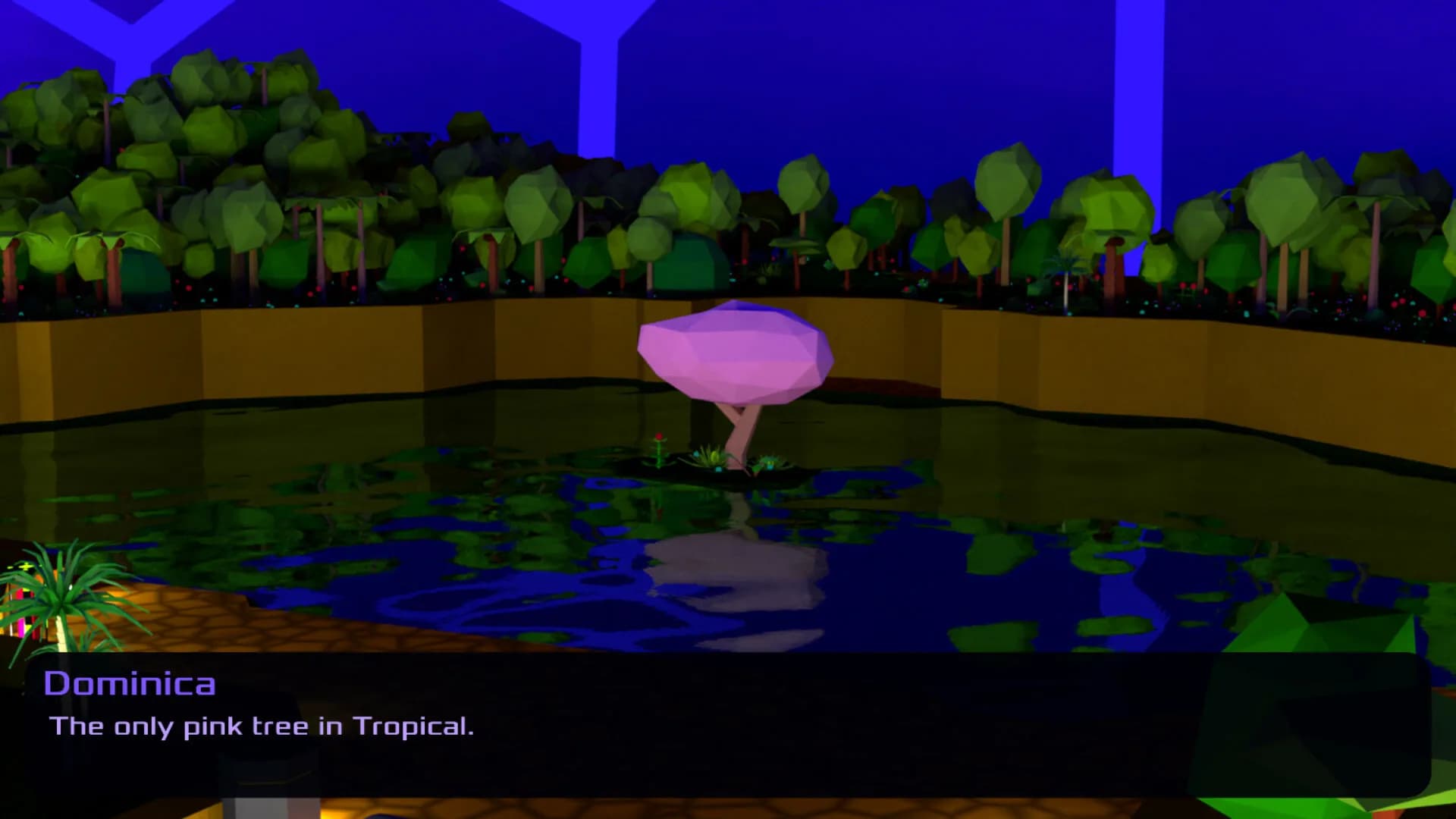 Tropical görsel 6