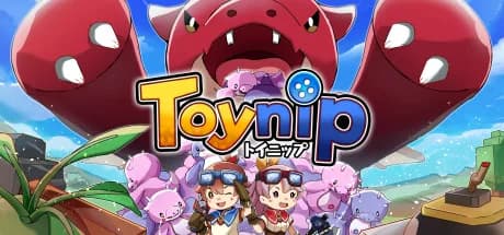 Toynip görsel 1