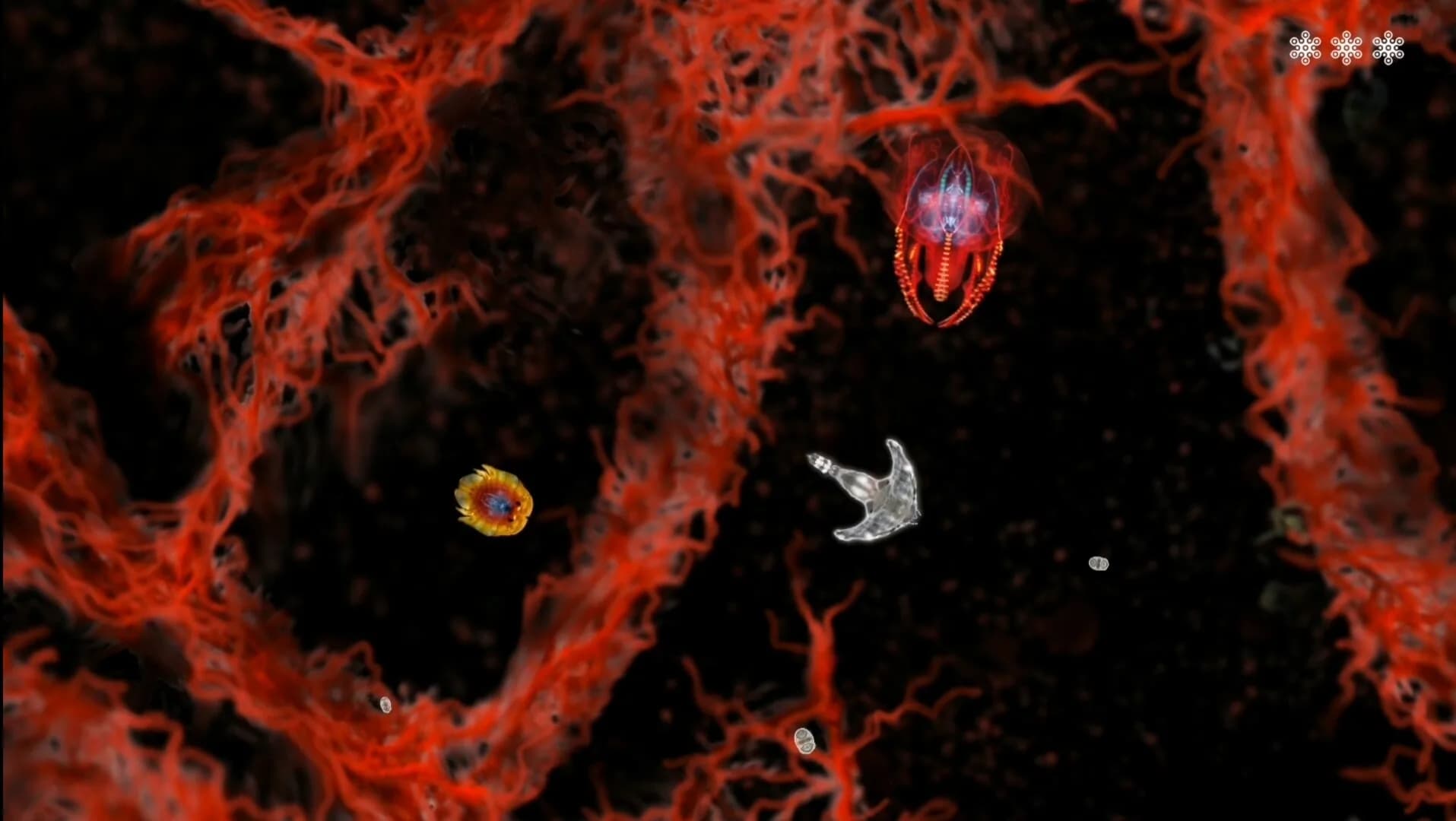 MICROSCOPIC görsel 3