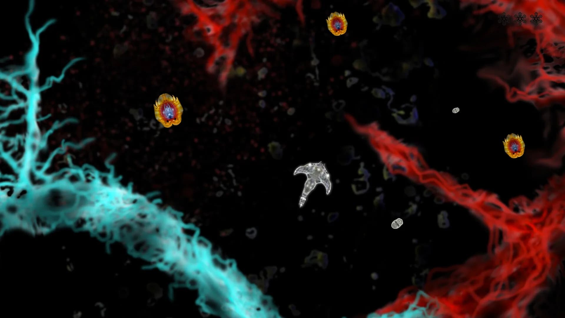MICROSCOPIC görsel 4