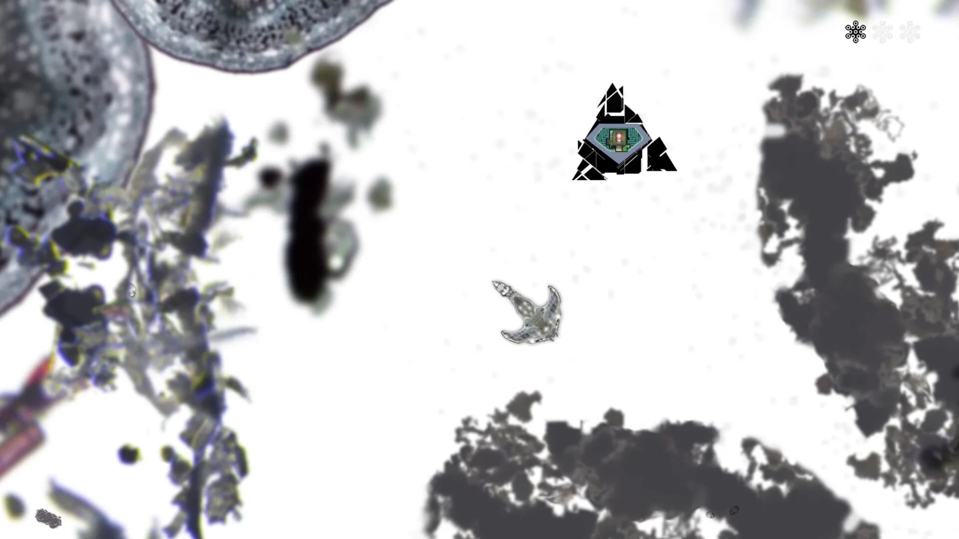 MICROSCOPIC görsel 6