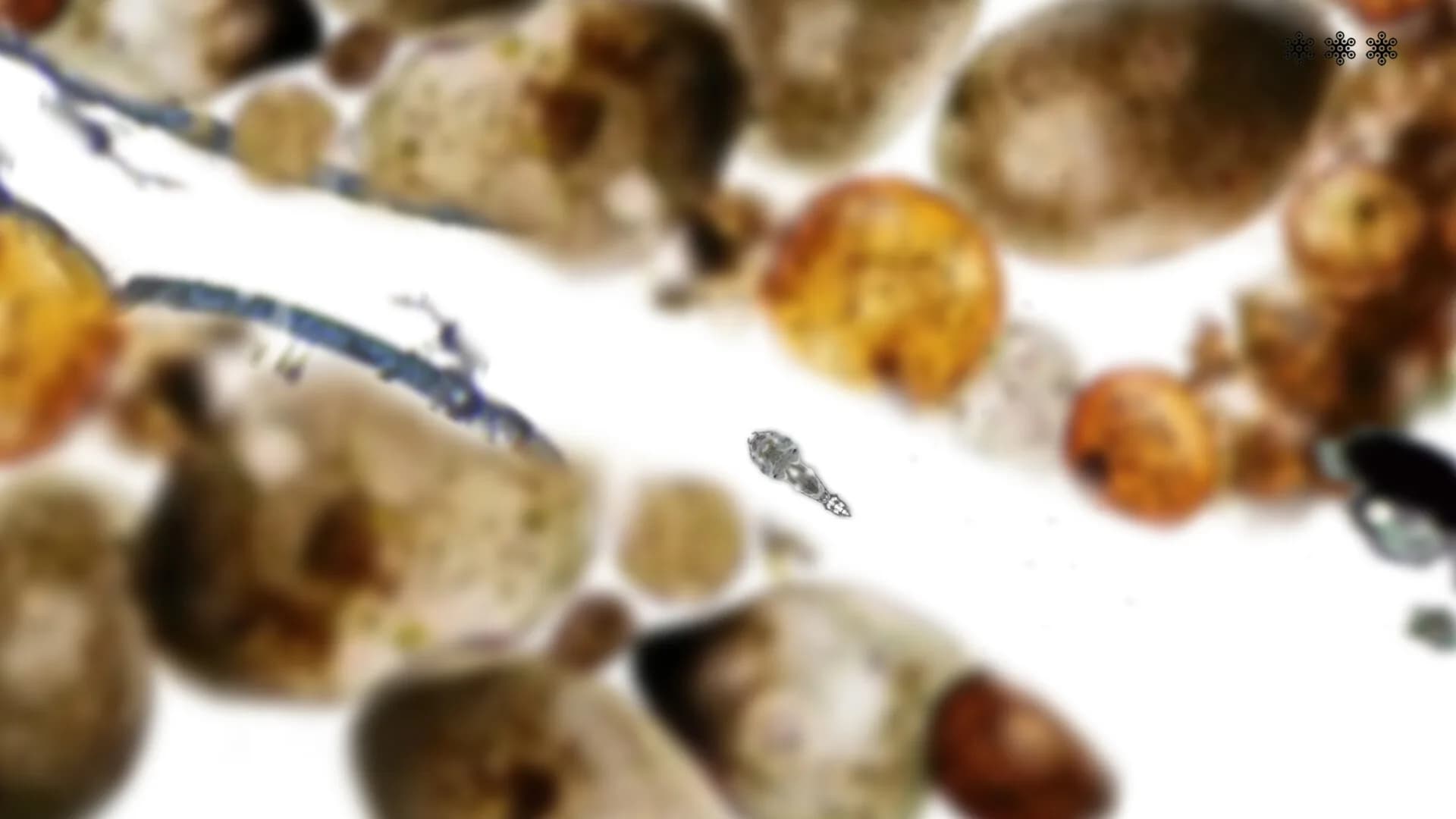 MICROSCOPIC görsel 9