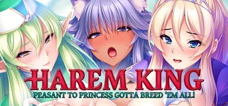 Harem King: Peasant to Princess Gotta Breed 'Em All! görsel 1