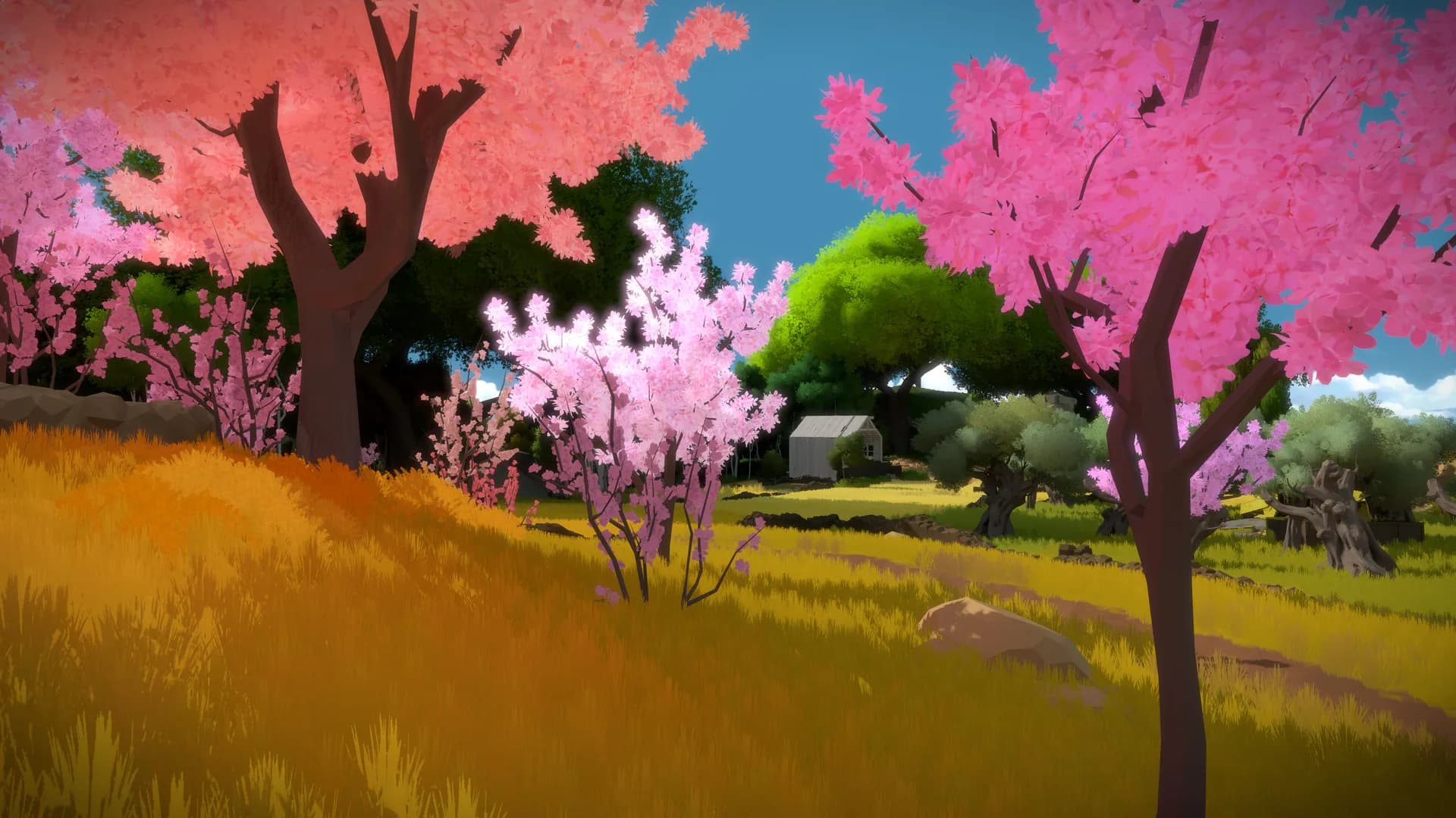 The Witness görsel 5