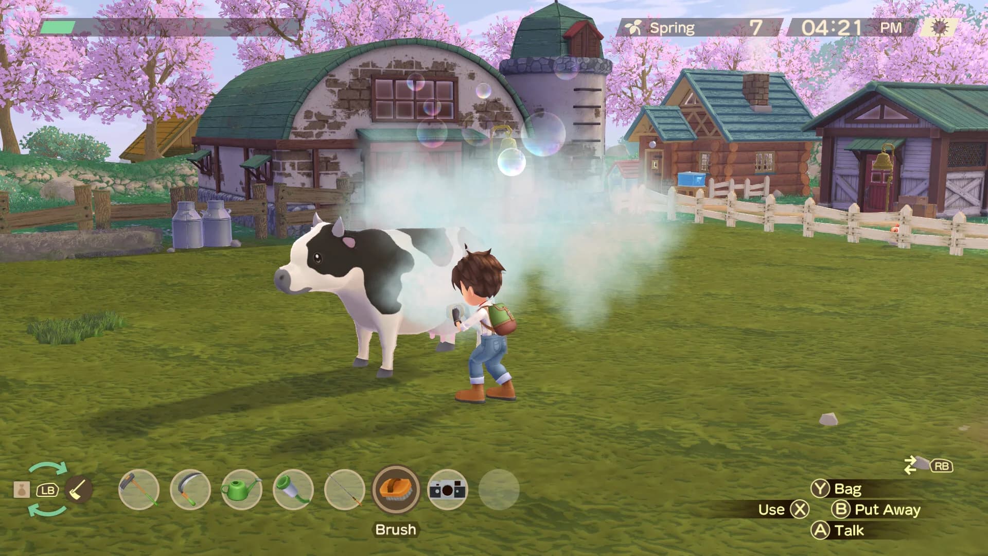 STORY OF SEASONS: A Wonderful Life görsel 4