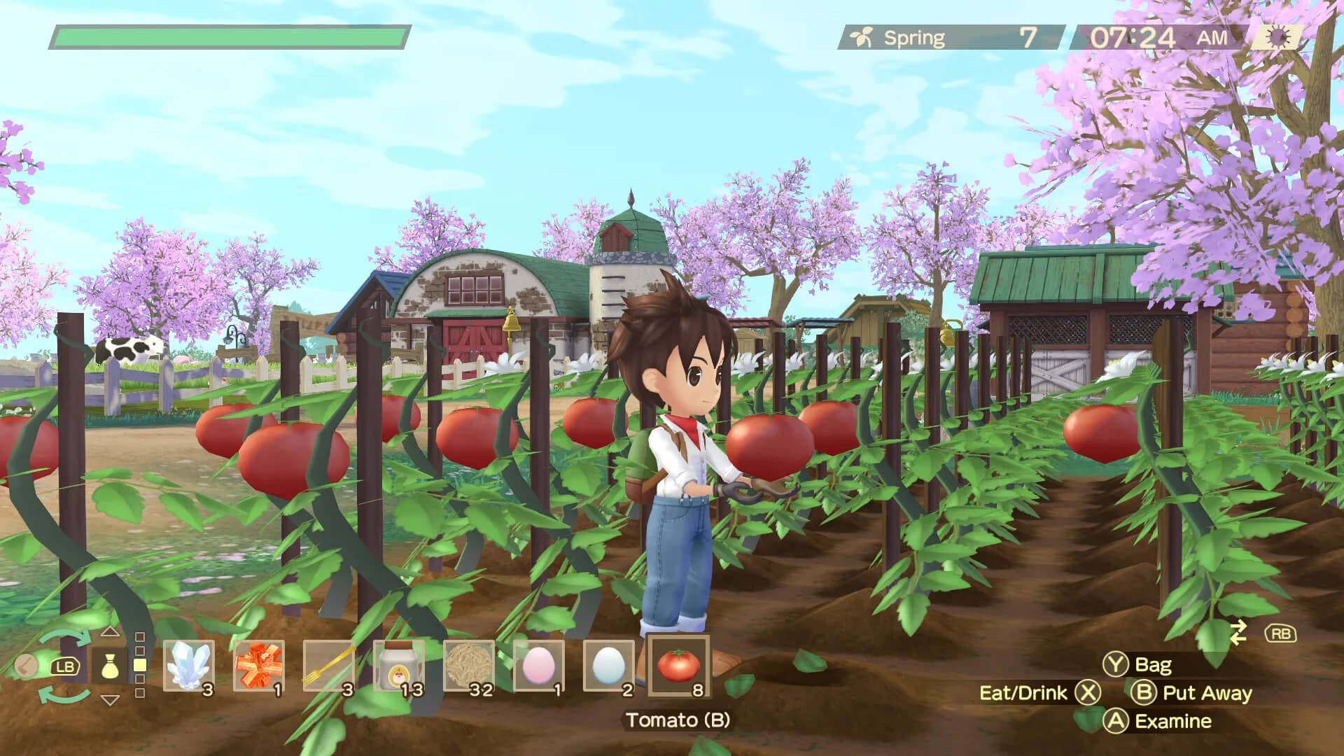 STORY OF SEASONS: A Wonderful Life görsel 8