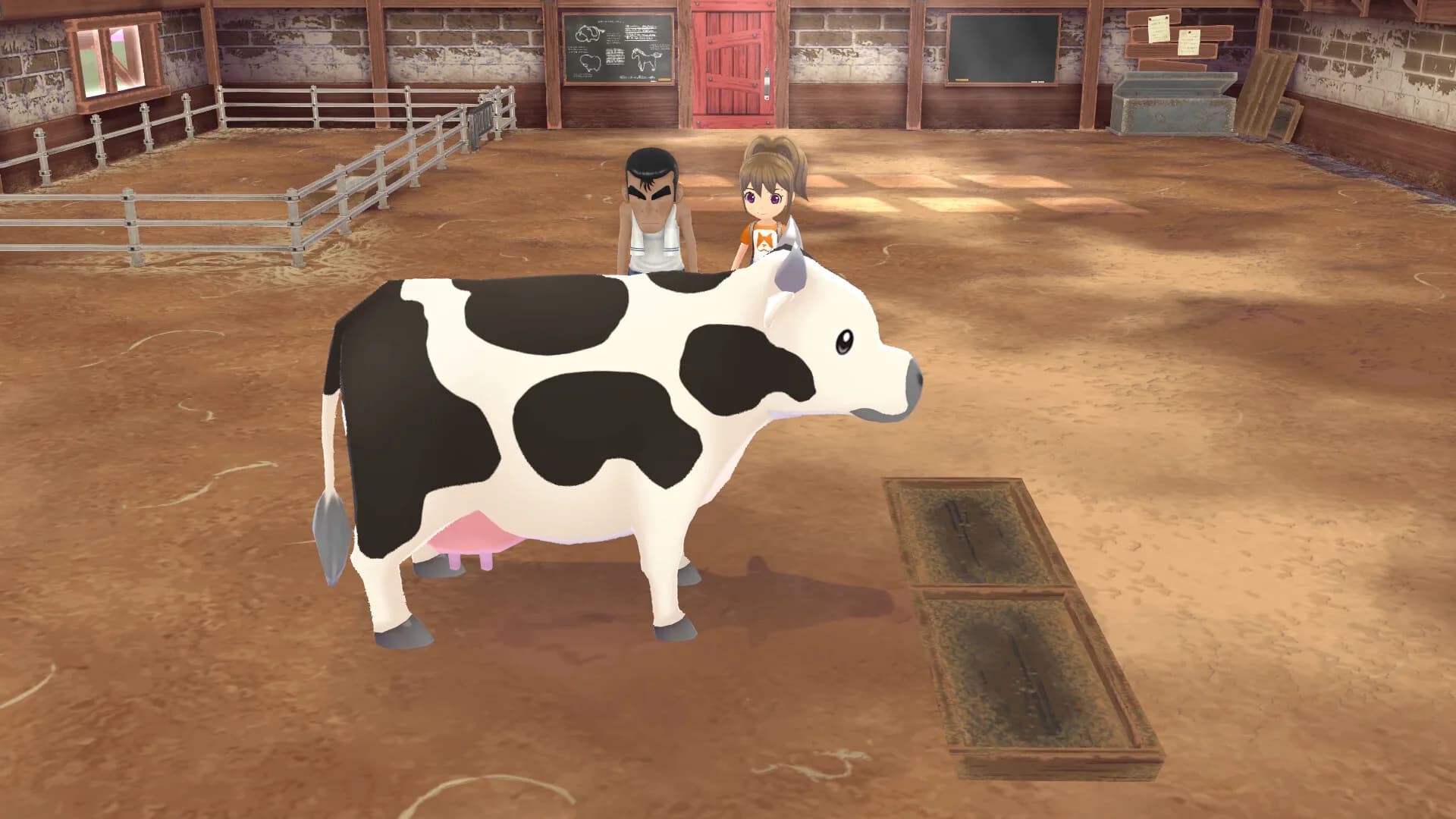 STORY OF SEASONS: A Wonderful Life görsel 11