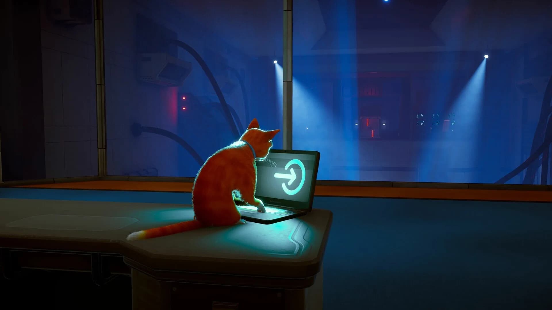 Schrodinger's Cat Burglar görsel 11
