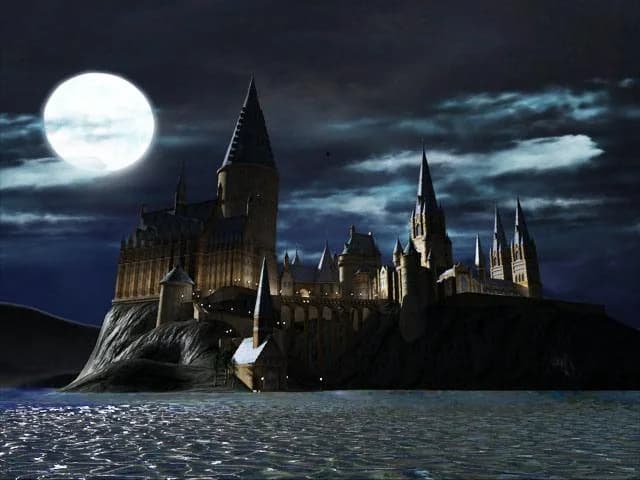 LEGO® Harry Potter: Years 1-4 görsel 11