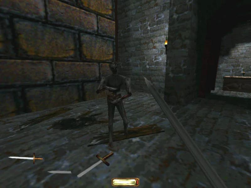 Thief Gold görsel 3